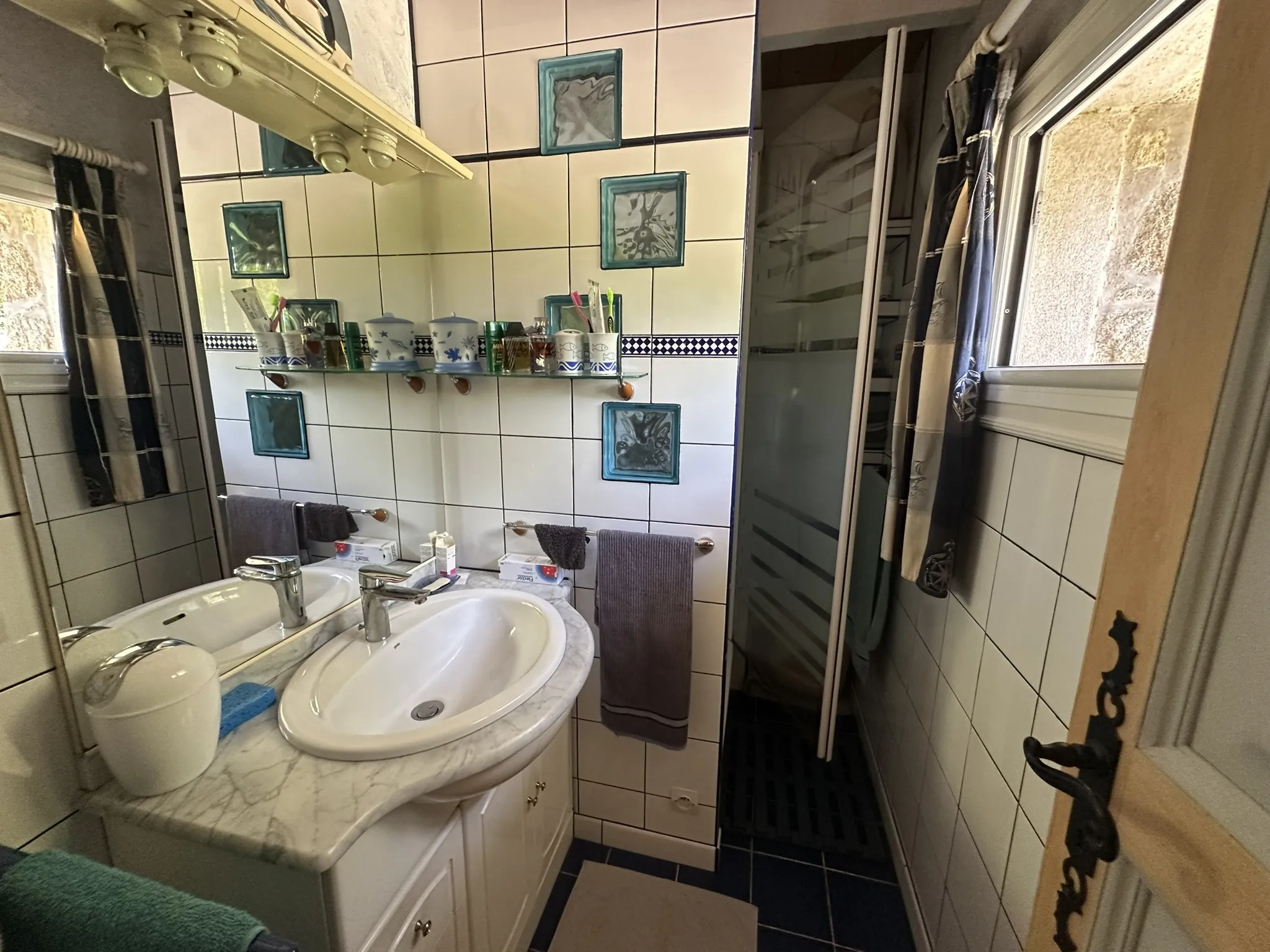 Ensemble immobilier à Saint-Barthélemy avec deux maisons indépendantes et jardin 