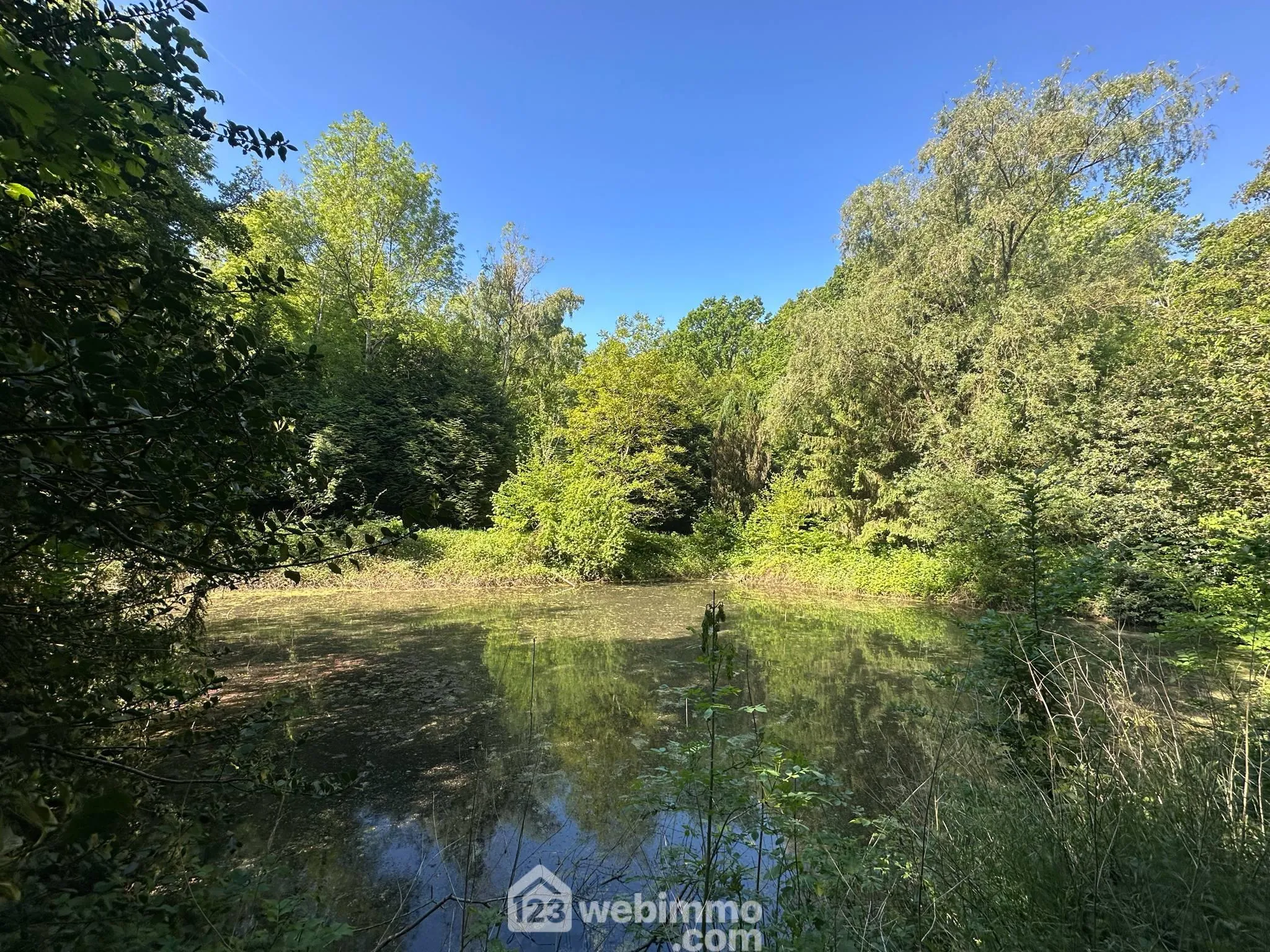 Étang de loisirs de 3020 m² à vendre à Parfondru — Idéal pour la pêche et la détente