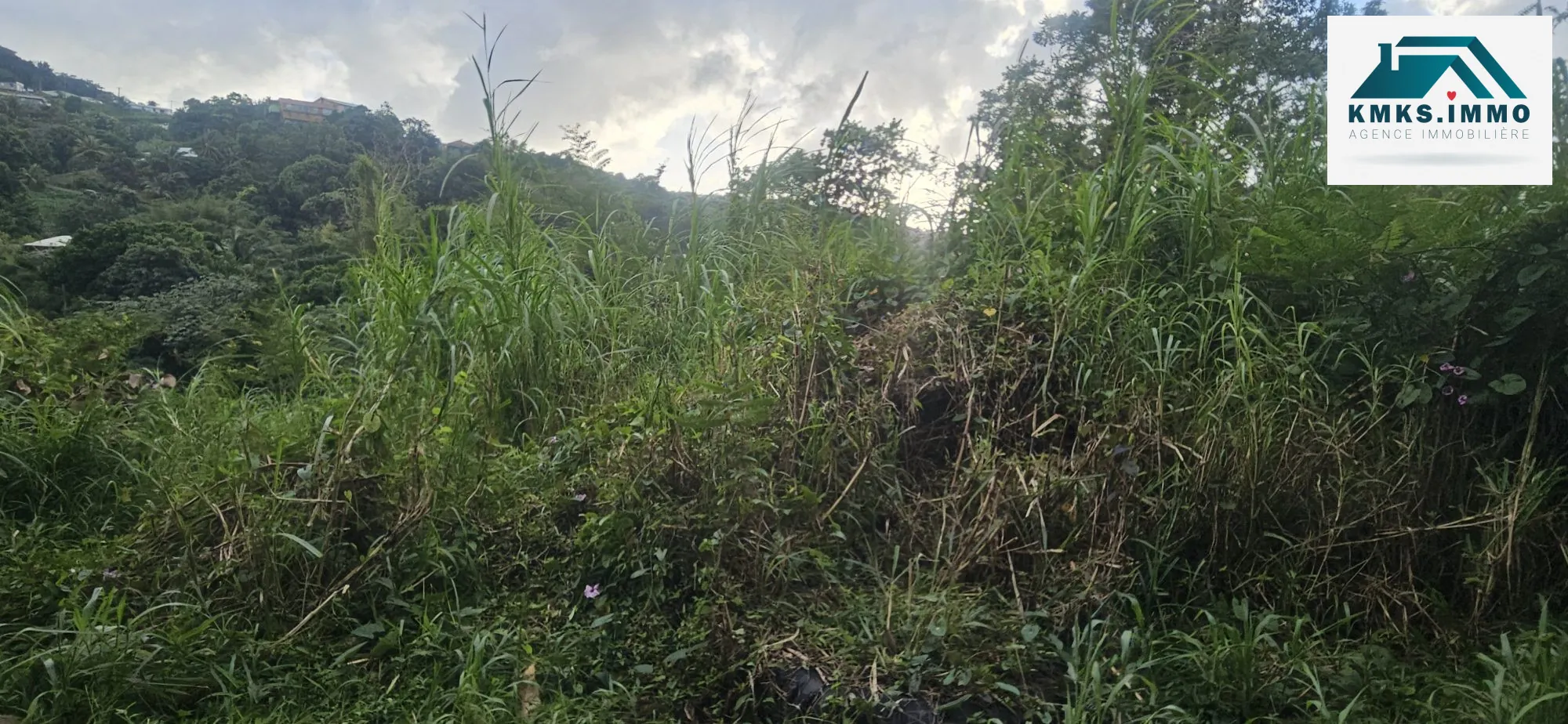 Terrains constructibles à Rivières-Salée - 1782 m² en environnement paisible