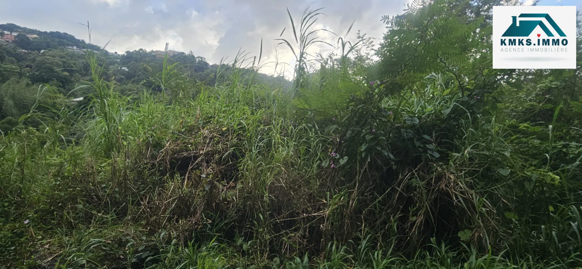 Terrains constructibles à Rivières-Salée - 1782 m² en environnement paisible 