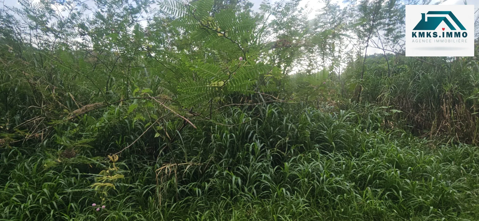 Terrains constructibles à Rivières-Salée - 1782 m² en environnement paisible 