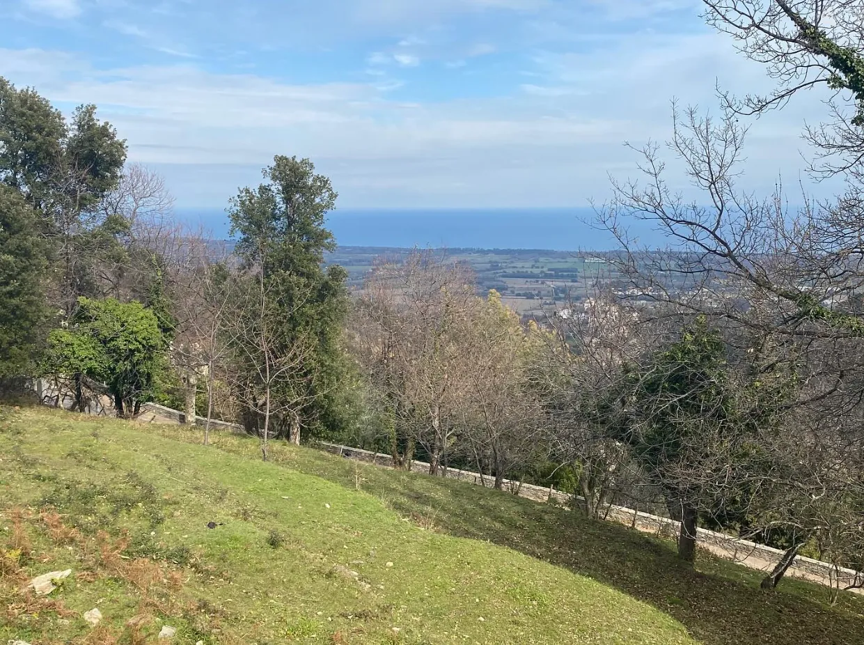 Terrain constructible de 3 000 m² à Penta-di-Casinca avec permis purgé