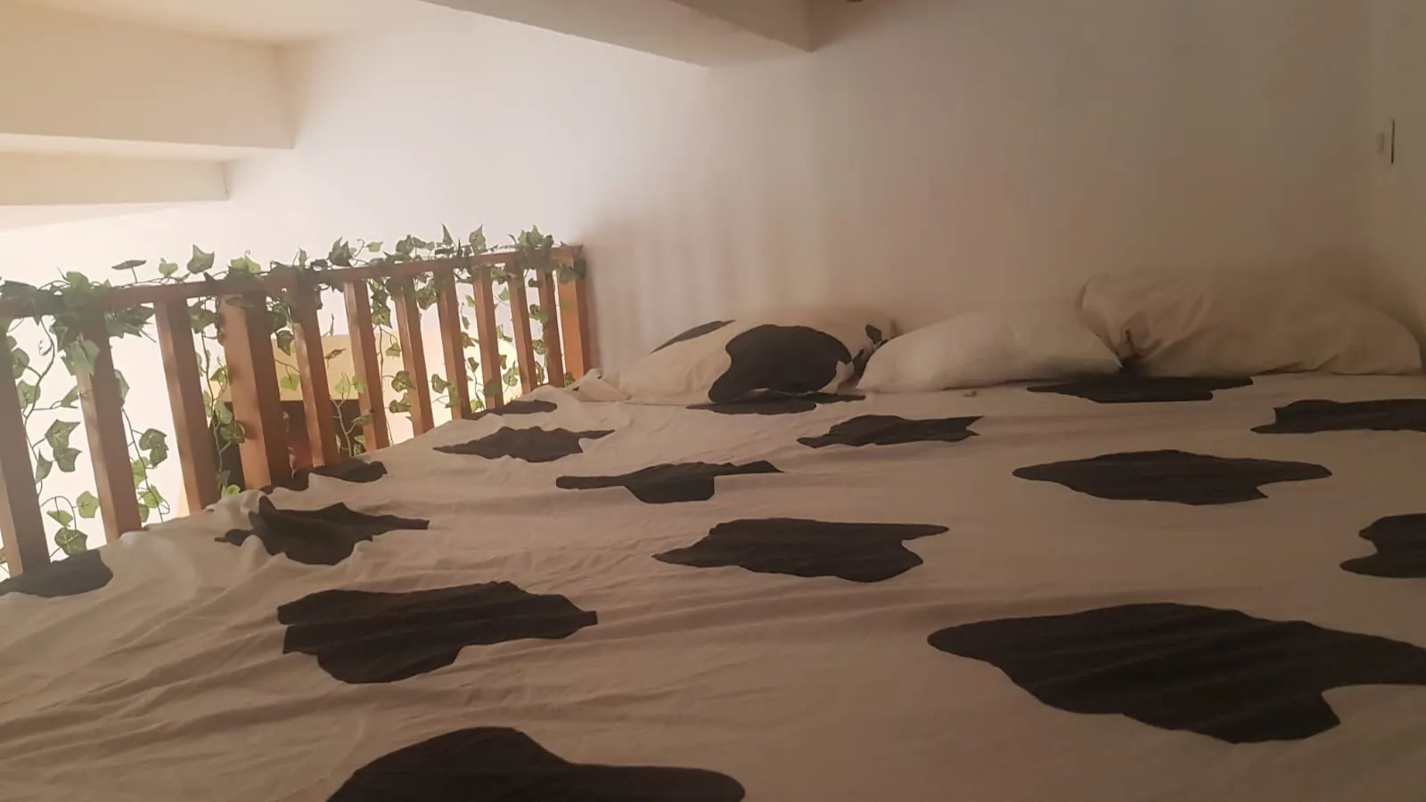 Appartement de 24m² avec mezzanine à Agde, proche plage et gare, idéal investissement ou pied-à-terre 