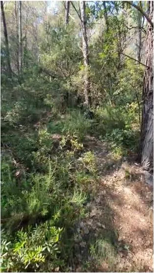 Deux terrains boisés non constructibles à Flayosc, zone Agricole et Naturelle 