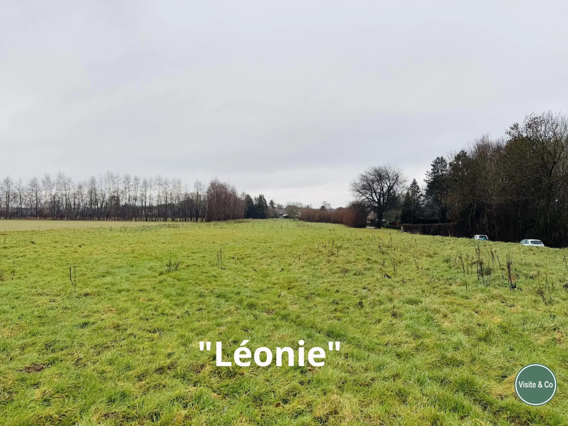 Grand terrain constructible à Saint-Martin-de-Mieux pour projet de lotissement