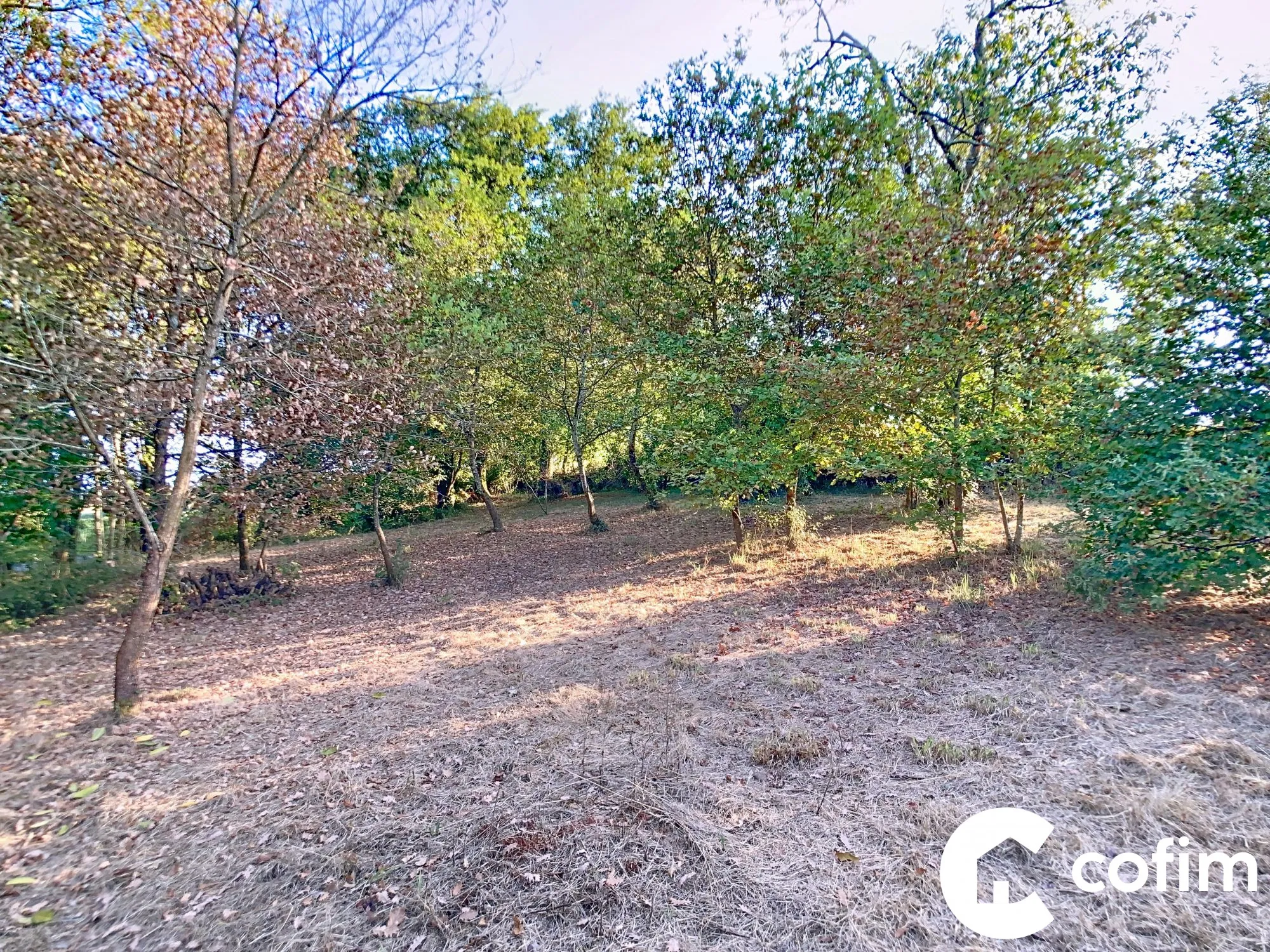 Ferme béarnaise à rénover à Garlin avec grand terrain en campagne 