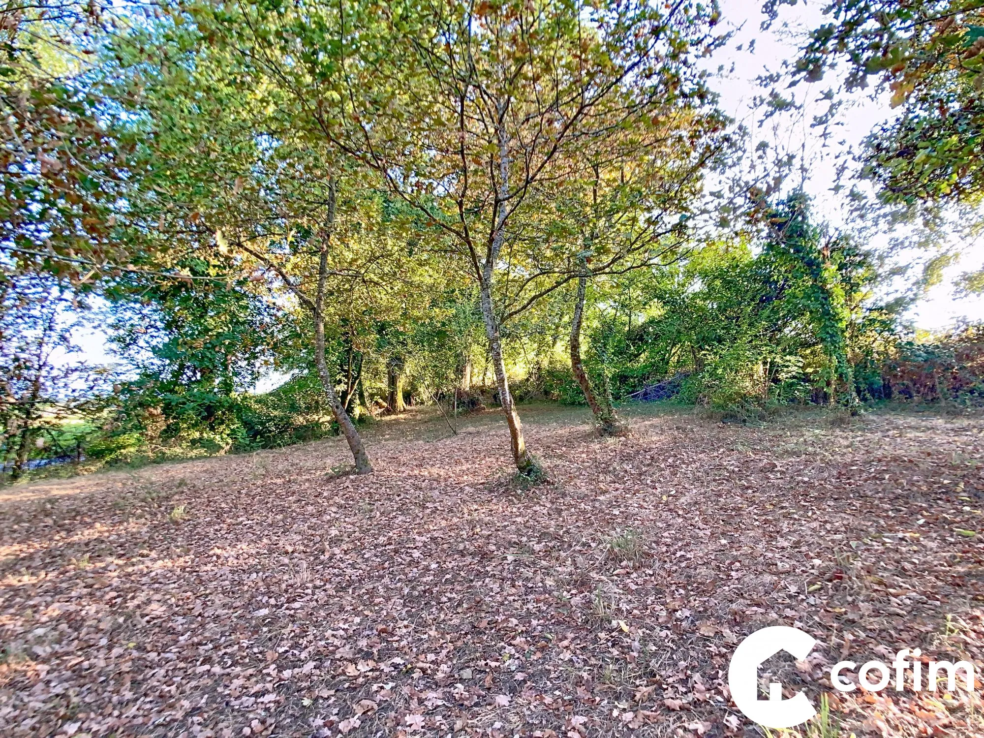 Ferme béarnaise à rénover à Garlin avec grand terrain en campagne 