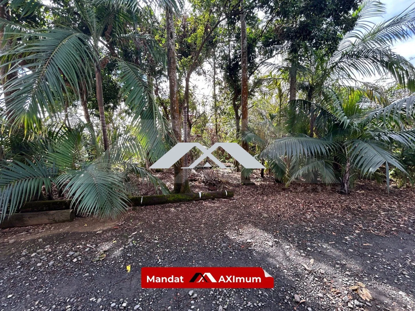 Terrain constructible de 539 m² à Saint-Benoît dans le secteur Bourbier les Bas 