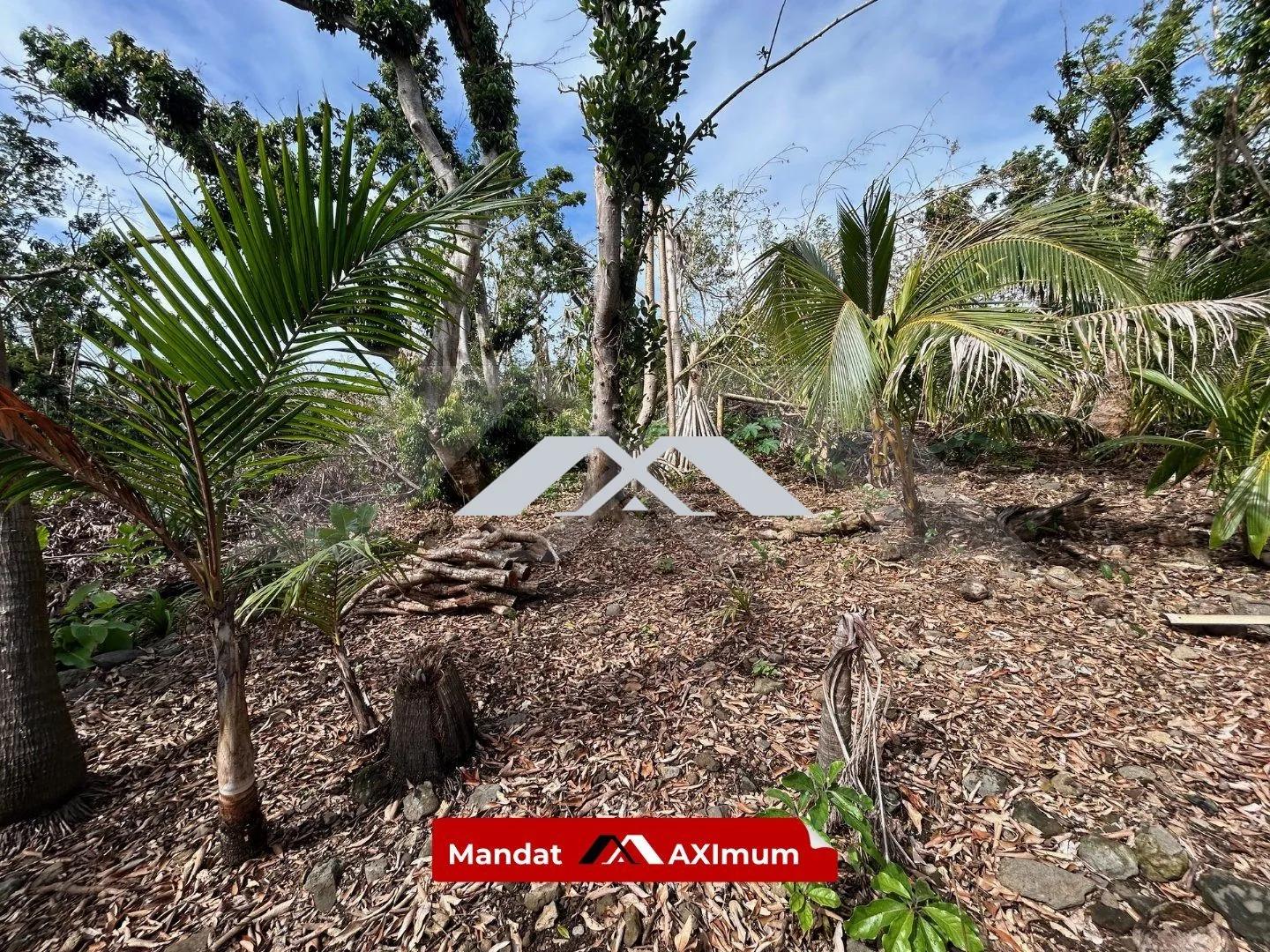 Terrain constructible de 539 m² à Saint-Benoît dans le secteur Bourbier les Bas 