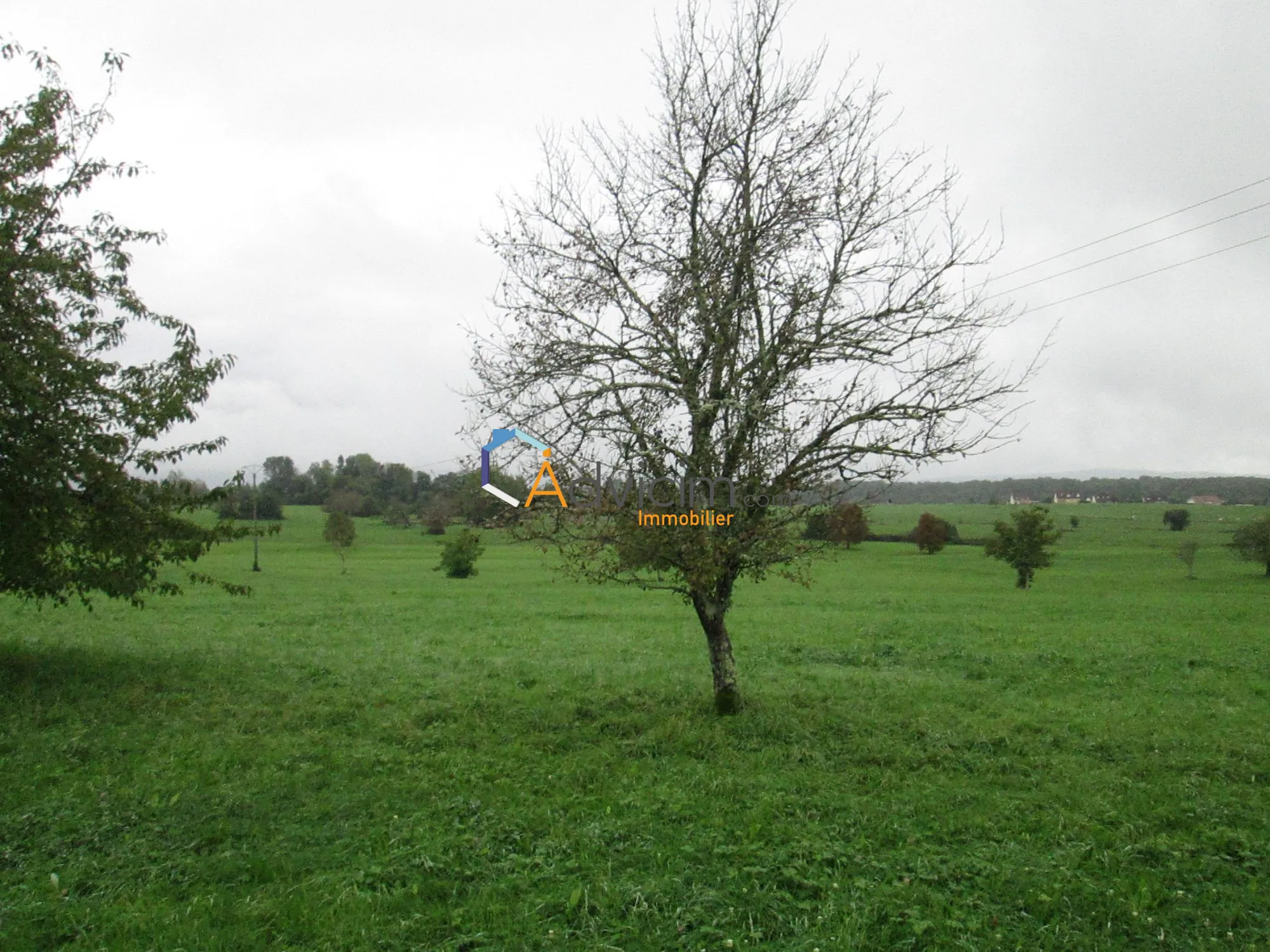 Superbe terrain constructible plat à La Bruyère avec vue nature 
