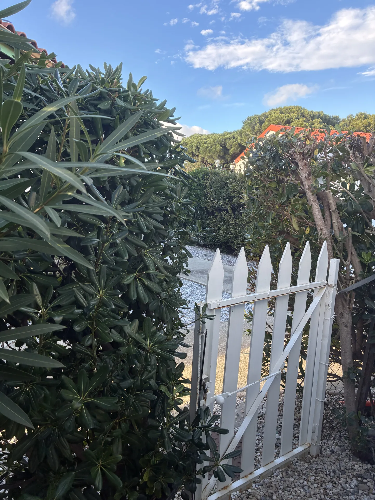 Mobil-home rénové en vente à Argeles-sur-Mer, proche plage et loisirs, dans camping 4 étoiles 