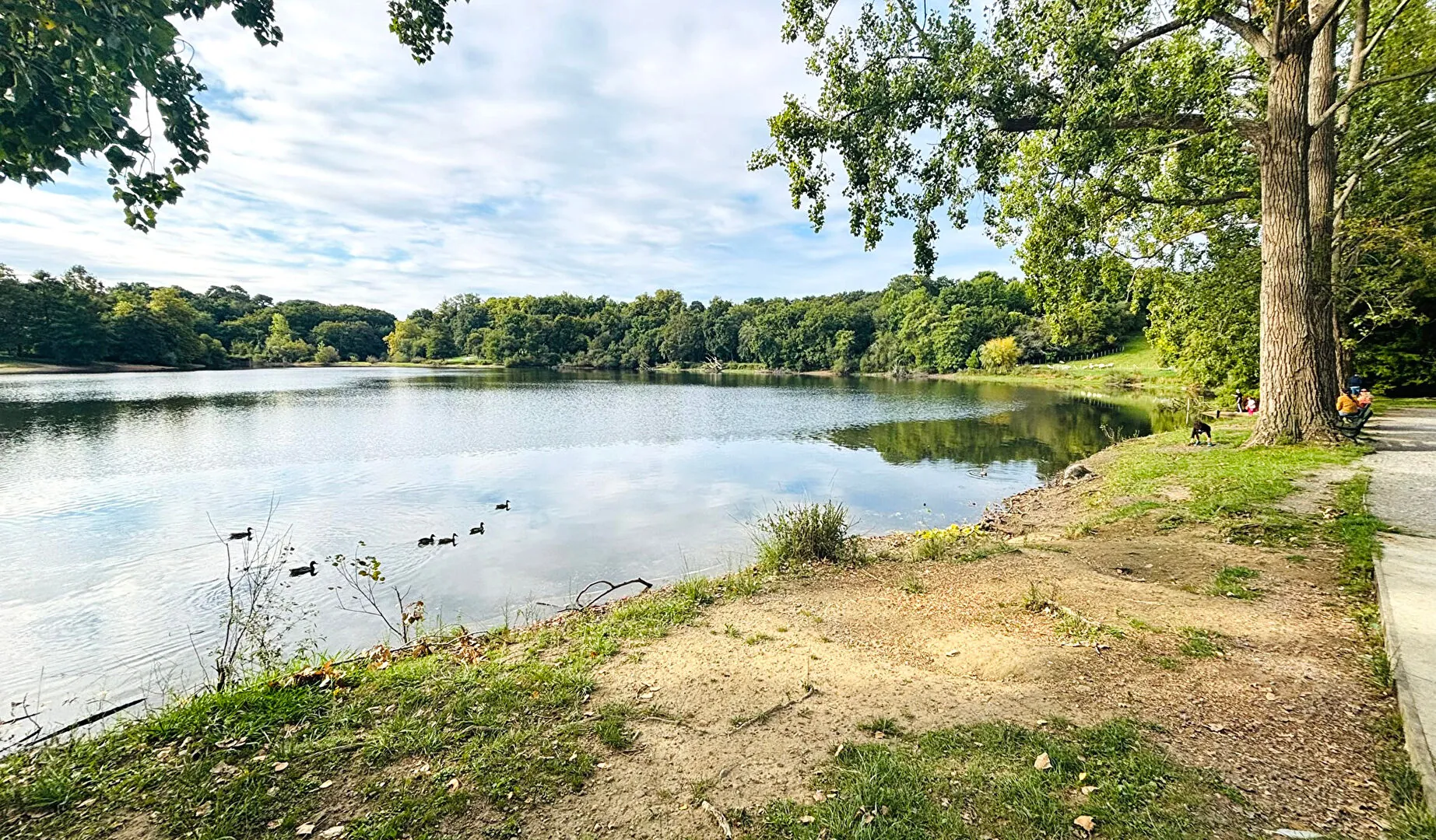 Appartement T2 à Biarritz avec terrasse et parking privé 