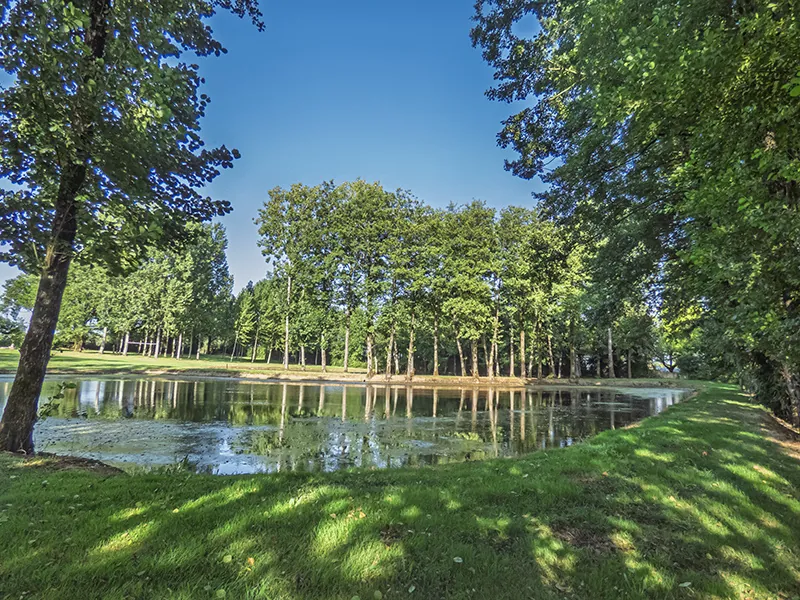 Terrain de loisir de 13 512 m² avec étangs, prairie et forêt à Nieul-le-Dolent 