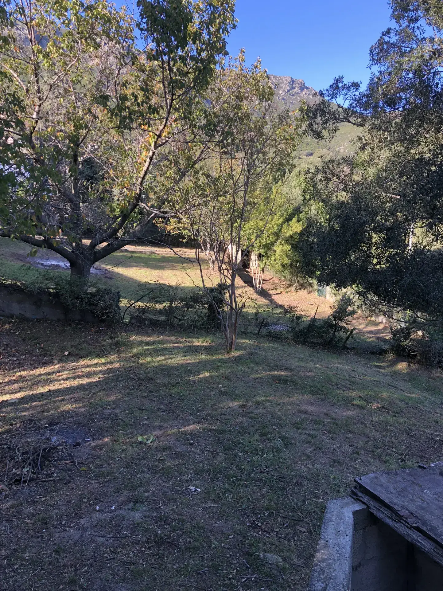 Maison à Bastia de 100 m² avec jardin et potentiel d'extension 