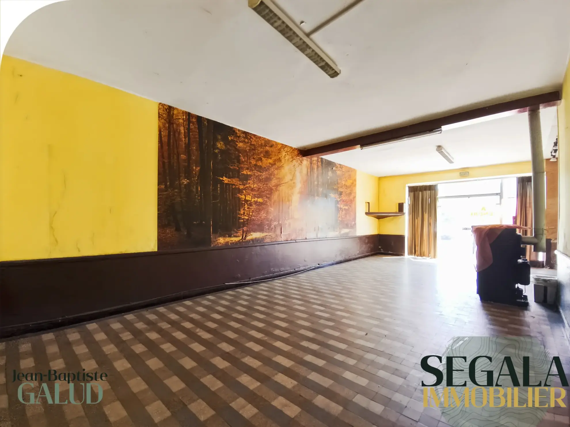 Vente Immeuble de 220 m² à Blaye Les Mines, potentiel locatif et professionnel