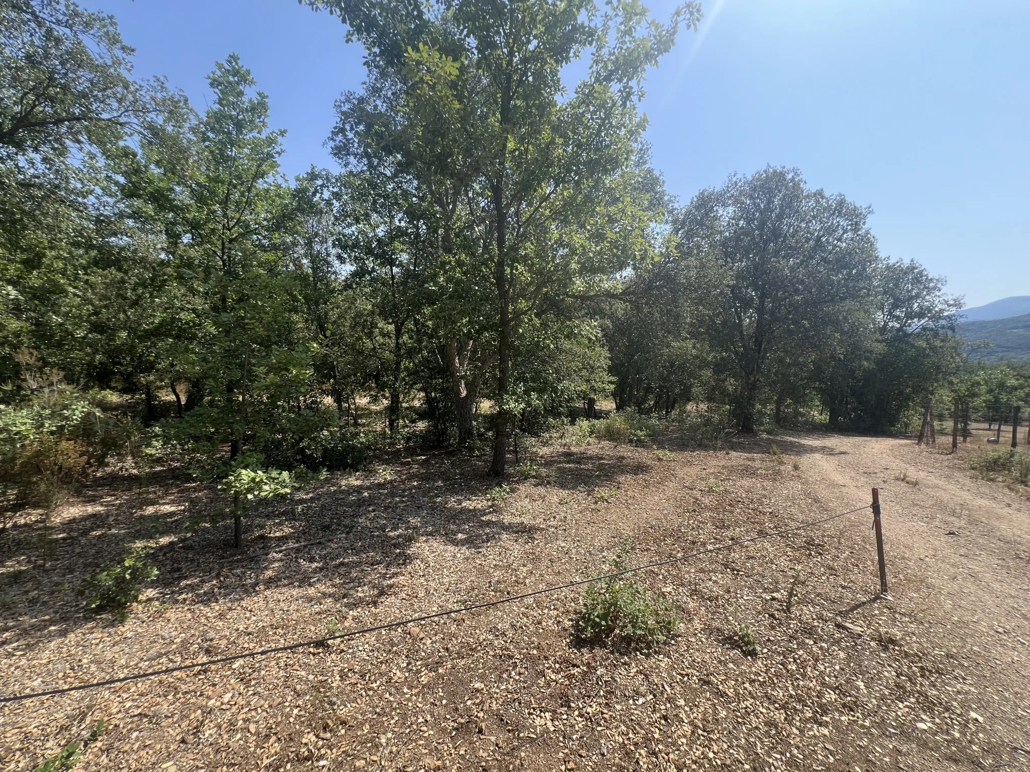 Terrain de loisirs d'environ 1 hectare à Reynès en Pyrénées-Orientales 