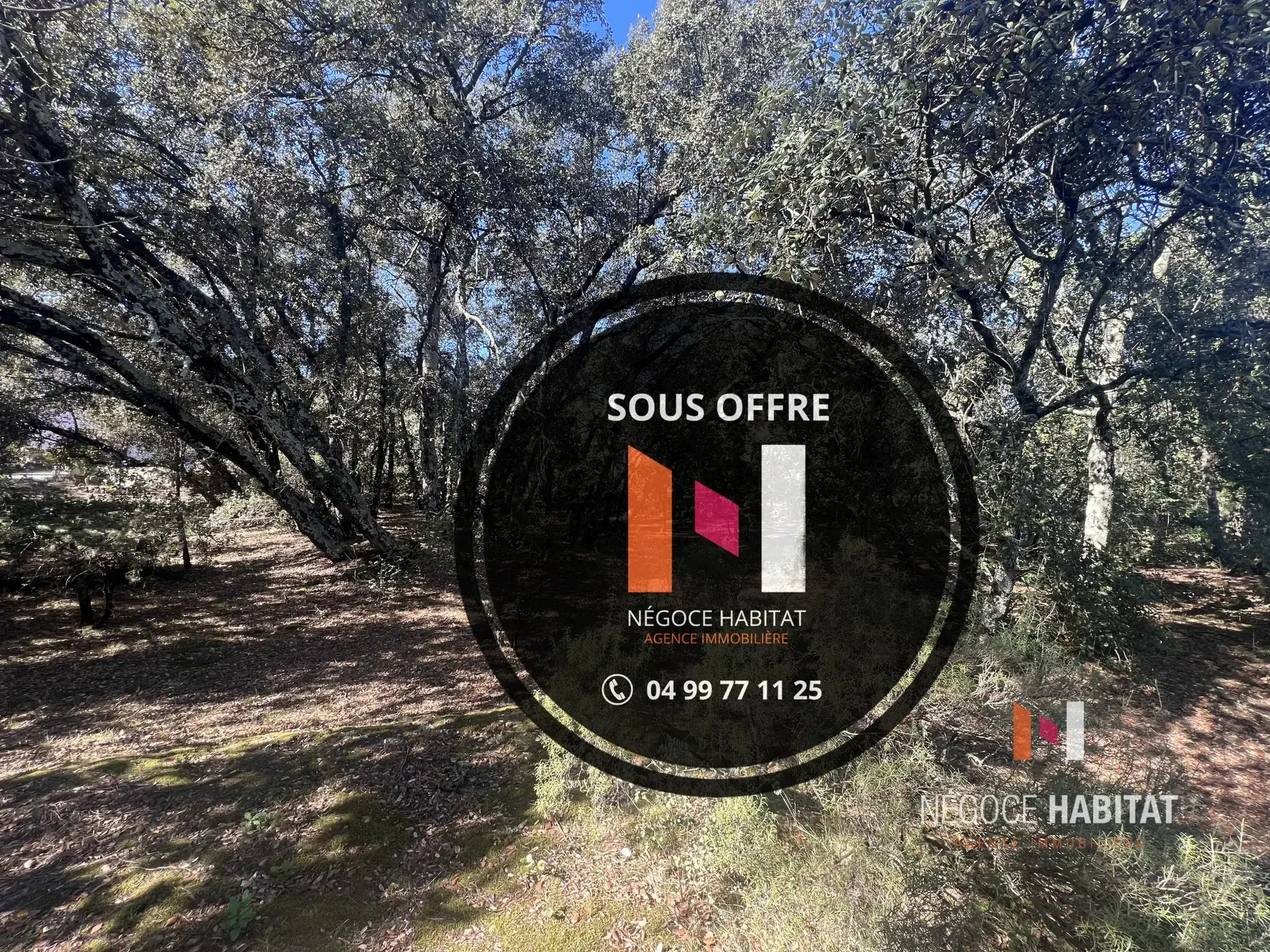 Terrain constructible boisé de 1300 m² à Boisseron en vente