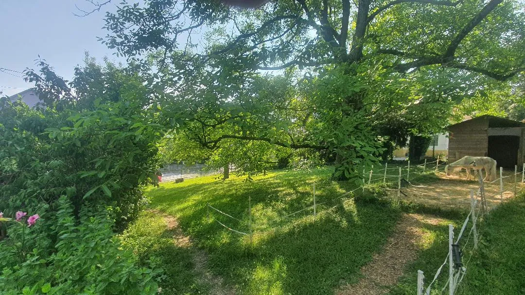 Terrain constructible de 3,20 ares à Morschwiller-le-Bas dans un cadre naturel