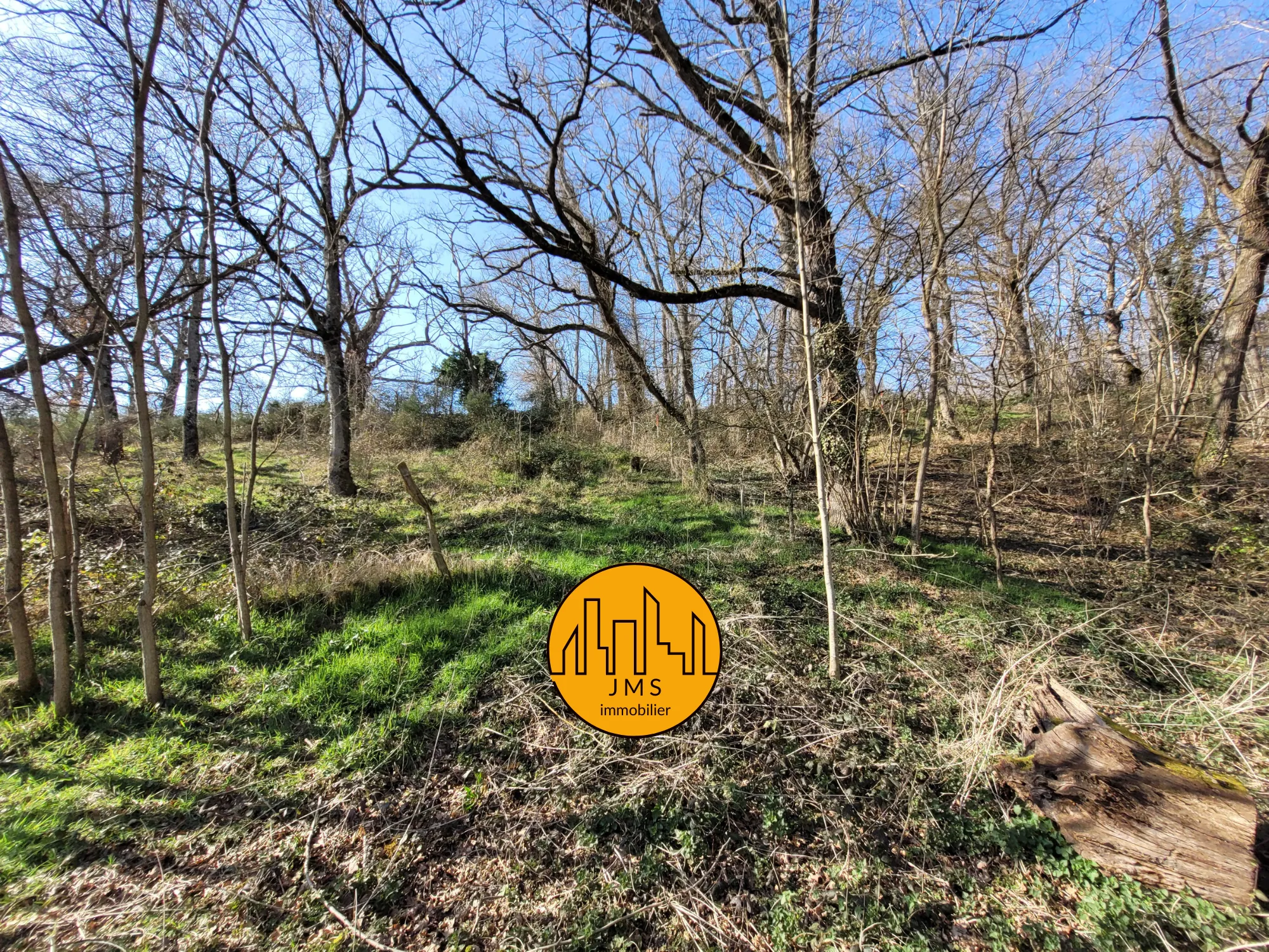 Fermette à vendre à Châtel-de-Neuvre avec maison, terrain et potentiel 