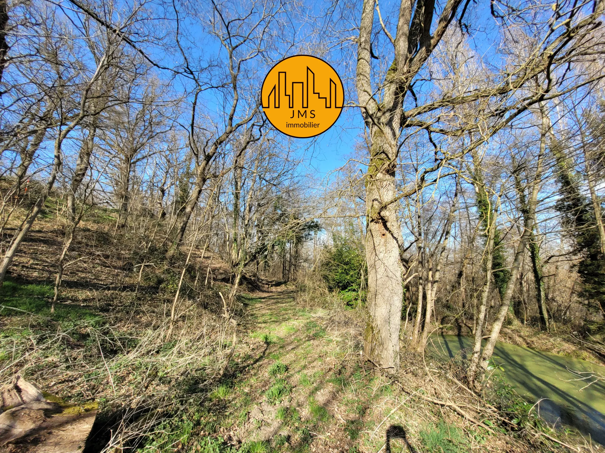 Fermette à vendre à Châtel-de-Neuvre avec maison, terrain et potentiel 