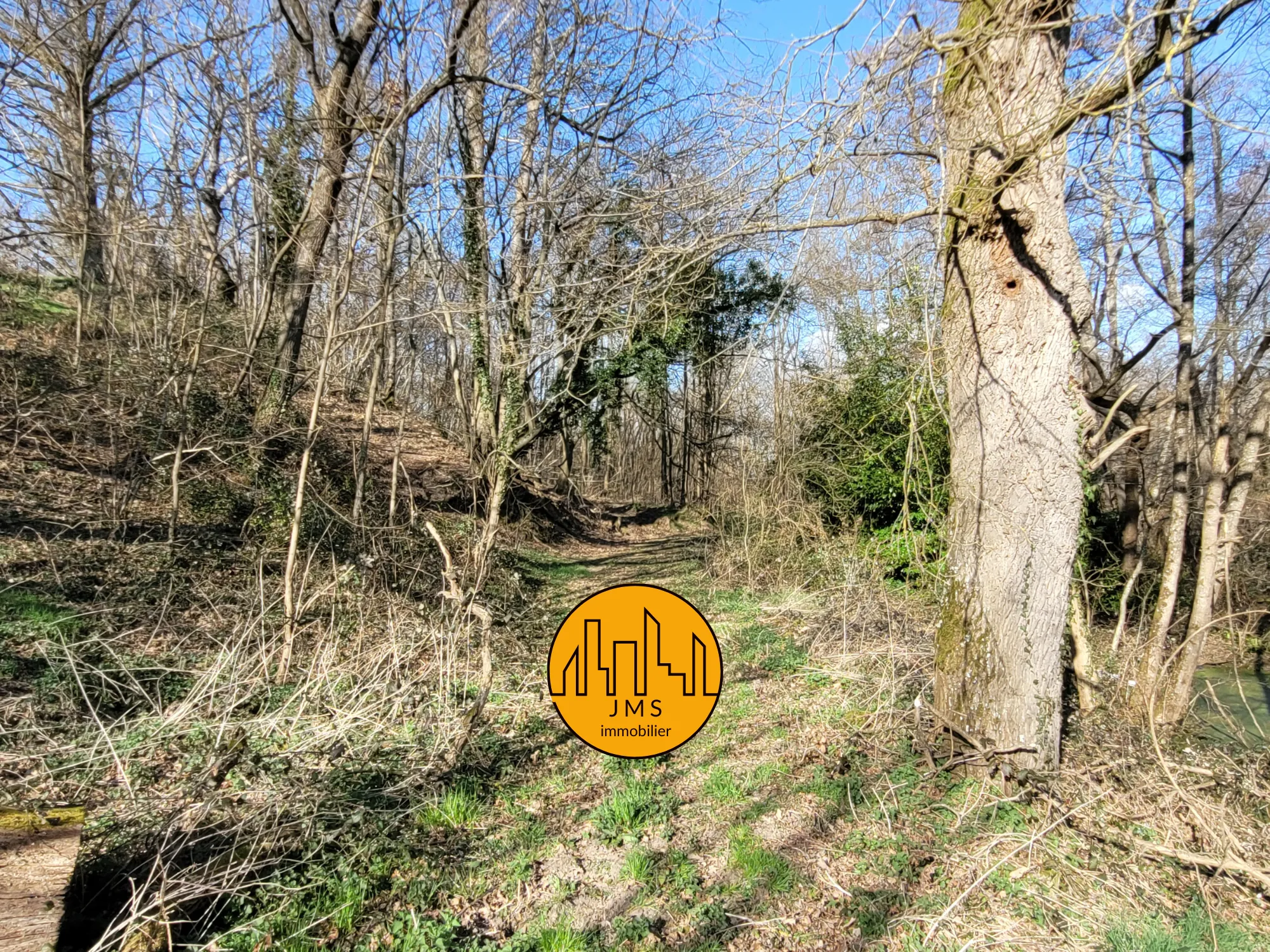 Fermette à vendre à Châtel-de-Neuvre avec maison, terrain et potentiel 