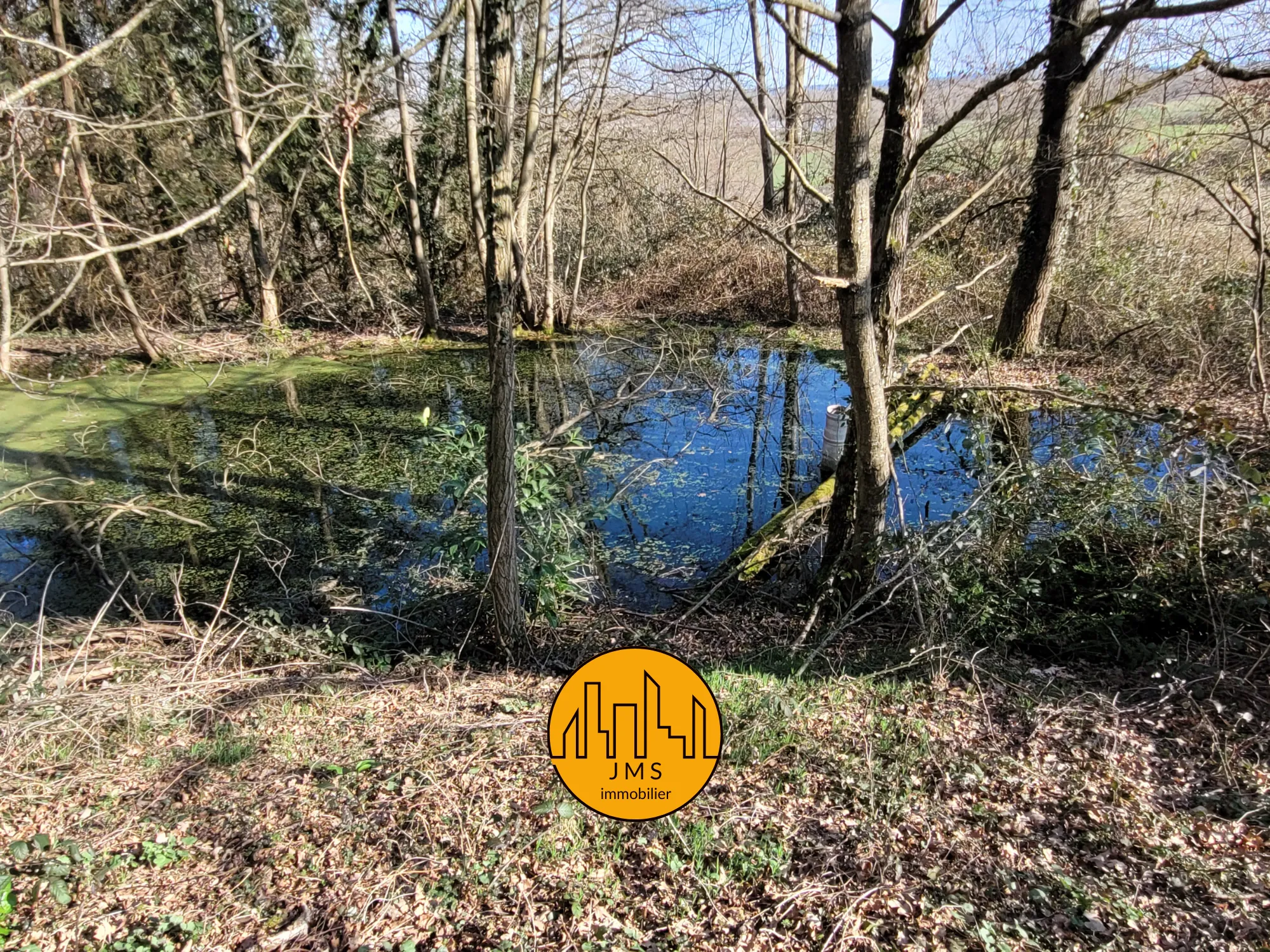 Fermette à vendre à Châtel-de-Neuvre avec maison, terrain et potentiel 