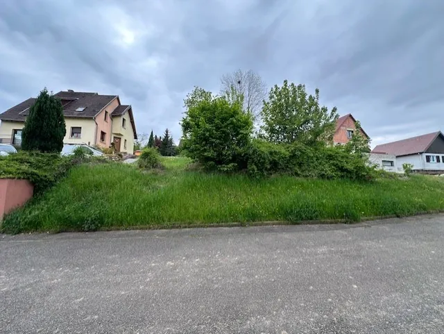 Terrain constructible à Bischoffsheim - 1042 m² en pleine nature avec vue sur la Plaine d’Alsace 