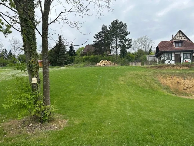 Terrain constructible à Bischoffsheim - 1042 m² en pleine nature avec vue sur la Plaine d’Alsace 