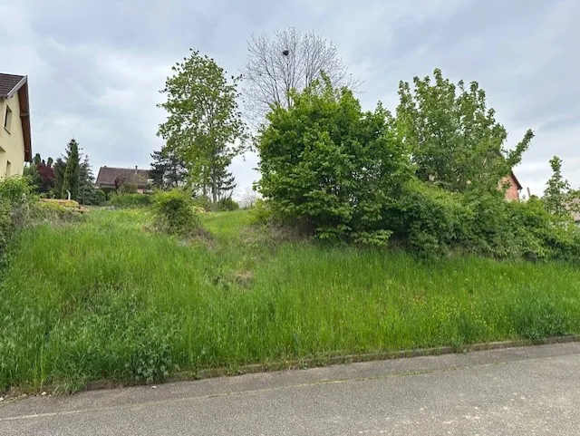 Terrain constructible à Bischoffsheim - 1042 m² en pleine nature avec vue sur la Plaine d’Alsace 