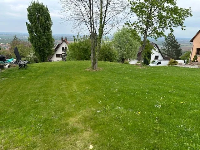 Terrain constructible à Bischoffsheim - 1042 m² en pleine nature avec vue sur la Plaine d’Alsace 