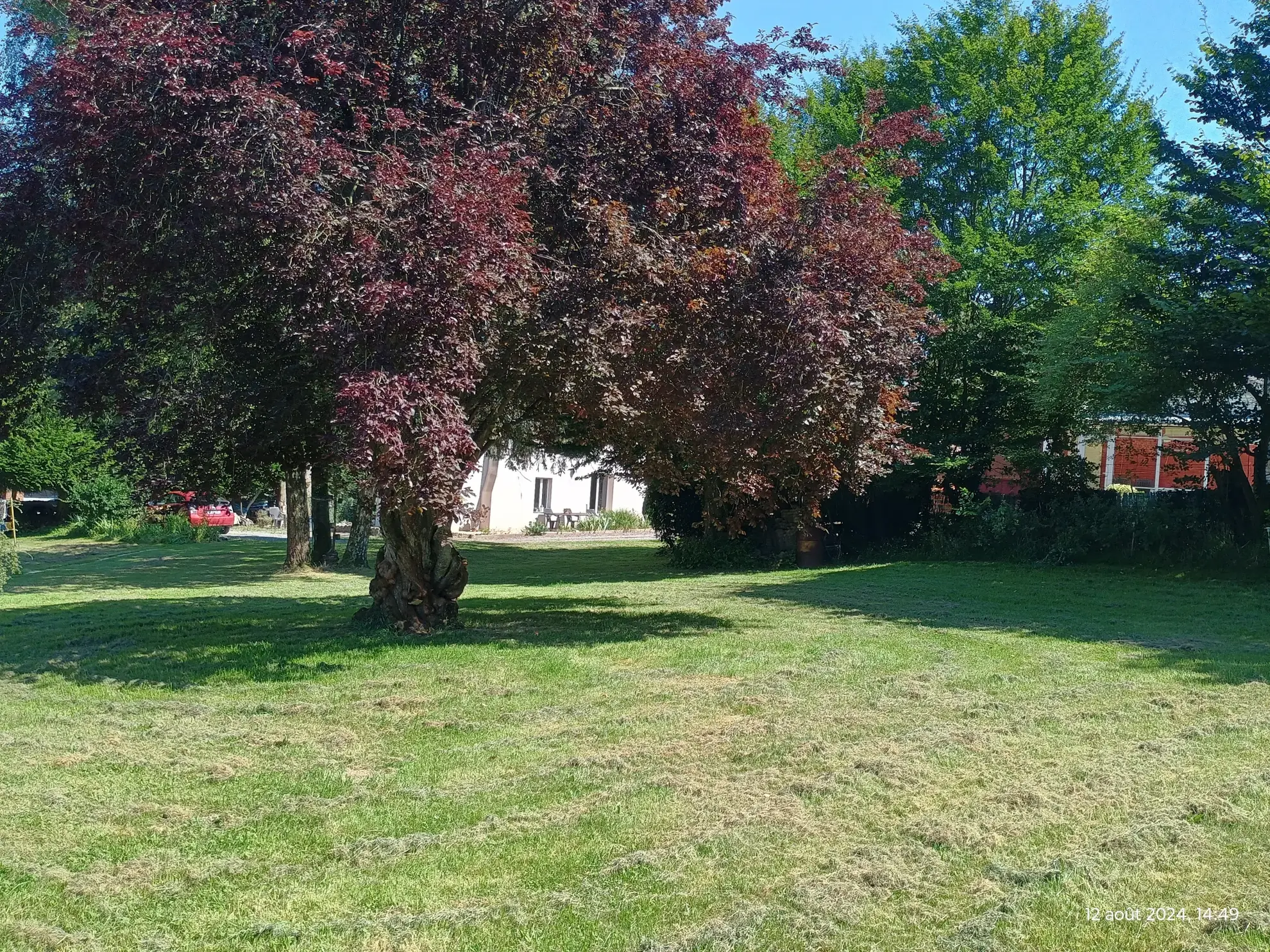 Maison de campagne à vendre à Marly-Gomont, 174 m² avec terrain de 7590 m²