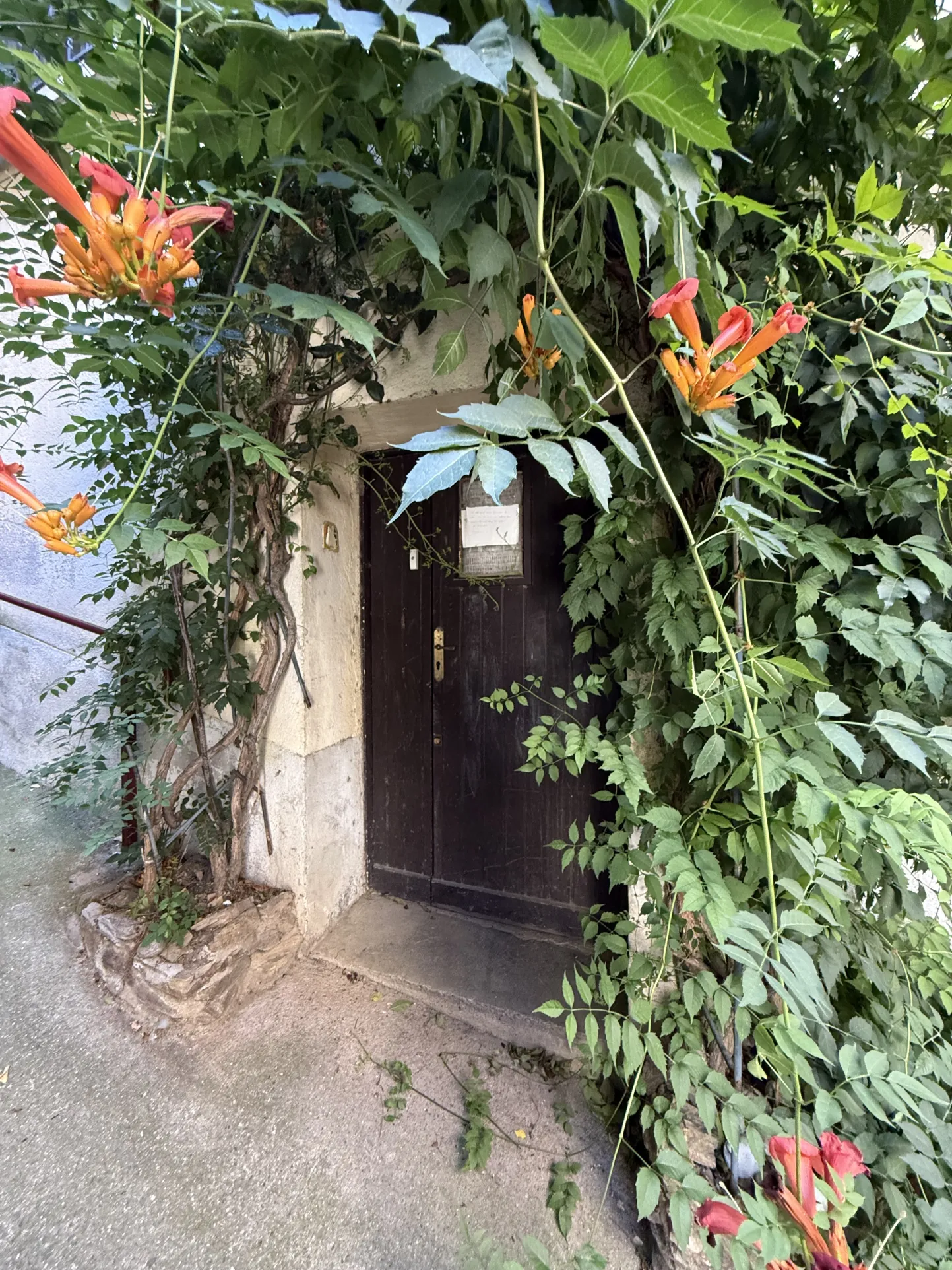 Maison de charme à Palalda avec grande cave et environnement méditerranéen 