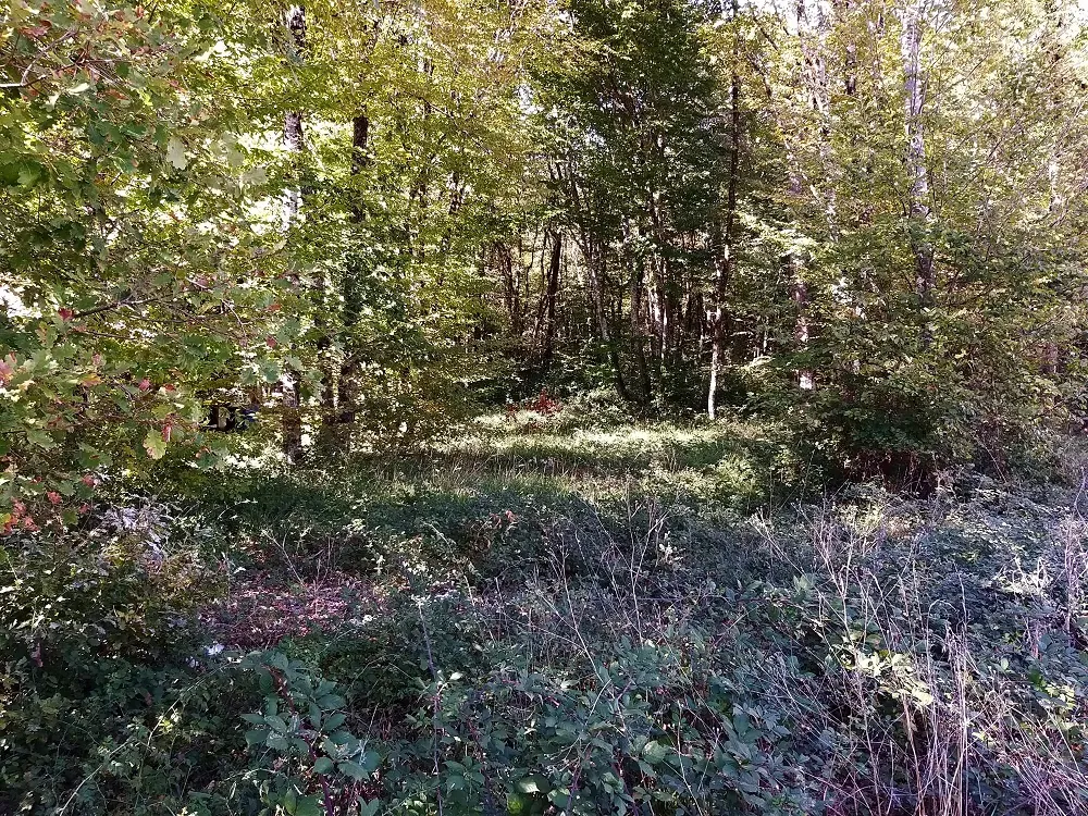 Terrain à bâtir de 659 m² à Pranzac, environnement paisible et nature 