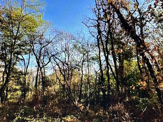 Parcelle forestière à Avrilly de 79 305 m² avec bois de chauffage 