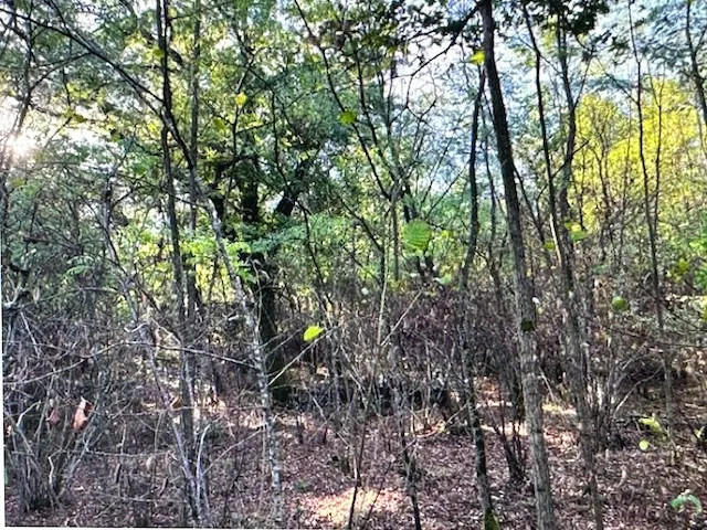 Parcelle forestière à Avrilly de 79 305 m² avec bois de chauffage 