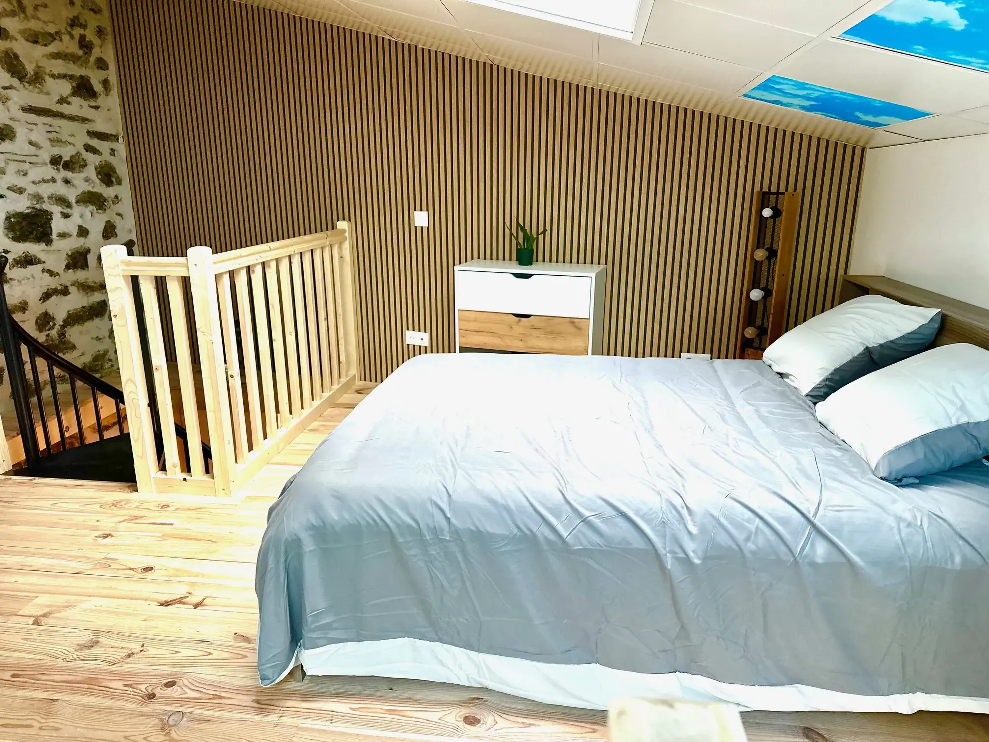 Magnifique loft rénové avec espace commercial indépendant à Lourdes 