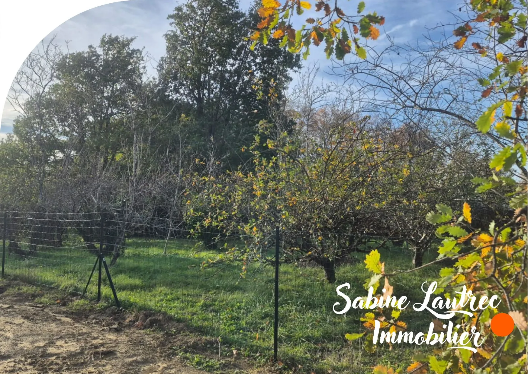 Terrain constructible arboré à Venès près de Castres et Albi