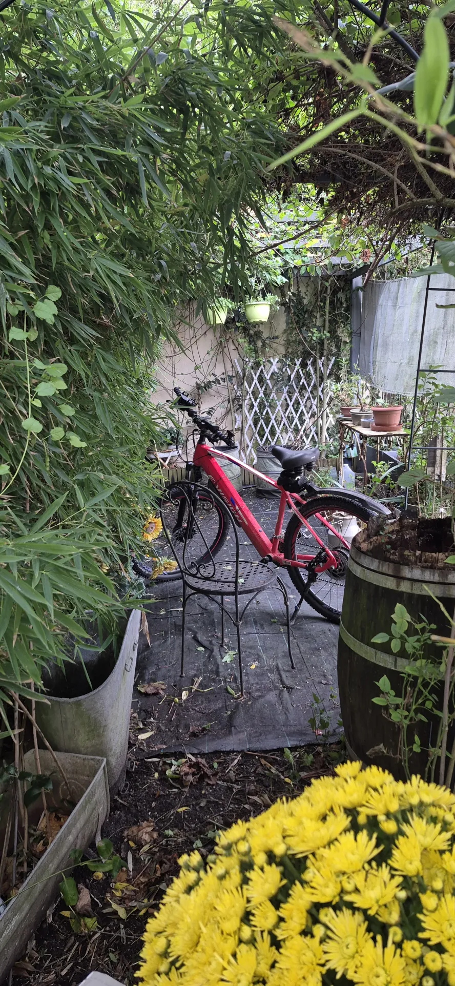 Maison en pierre à Pauillac avec cave voûtée et potentiel mixte 