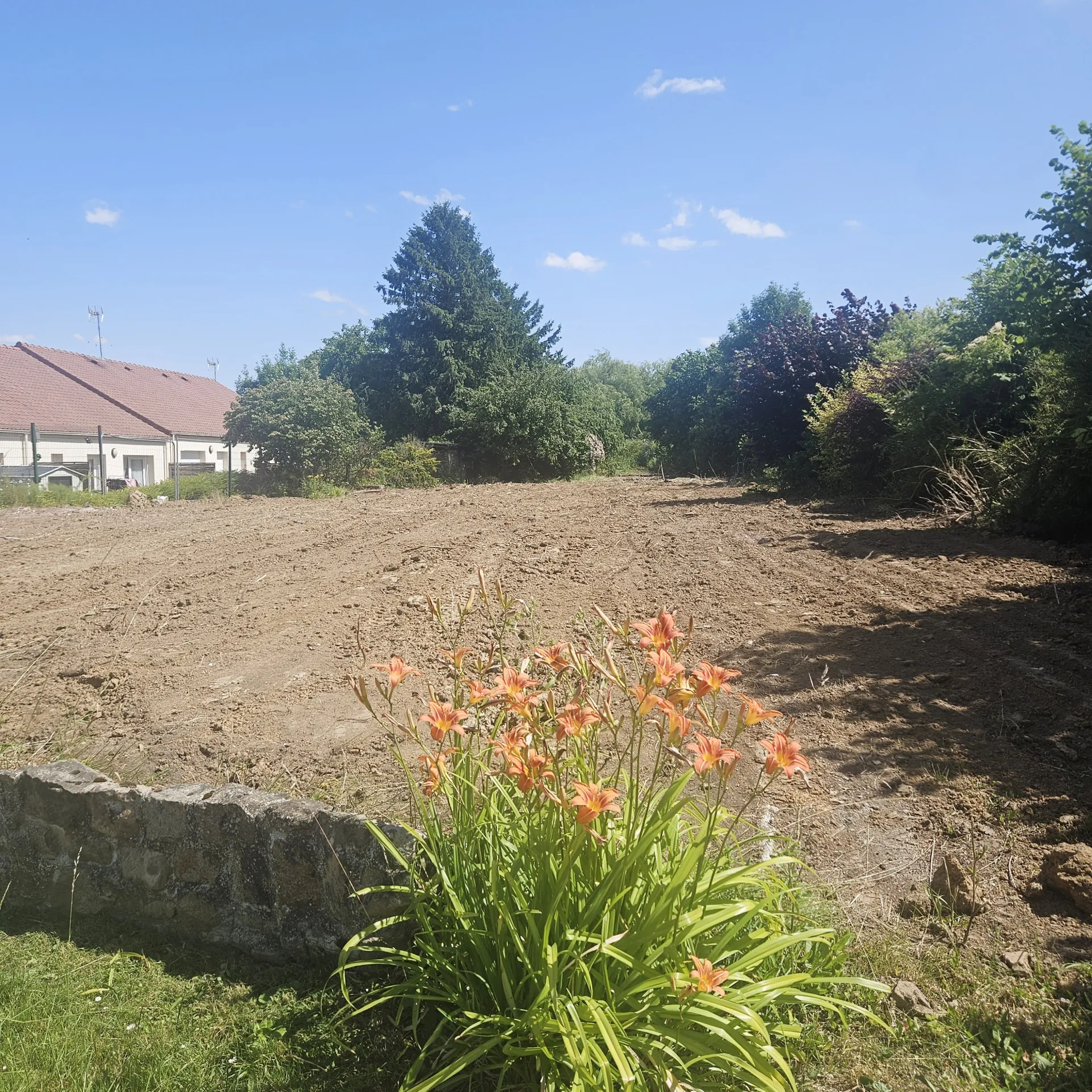 Terrain constructible de 2620 m² à Farbus avec petit plan d'eau 