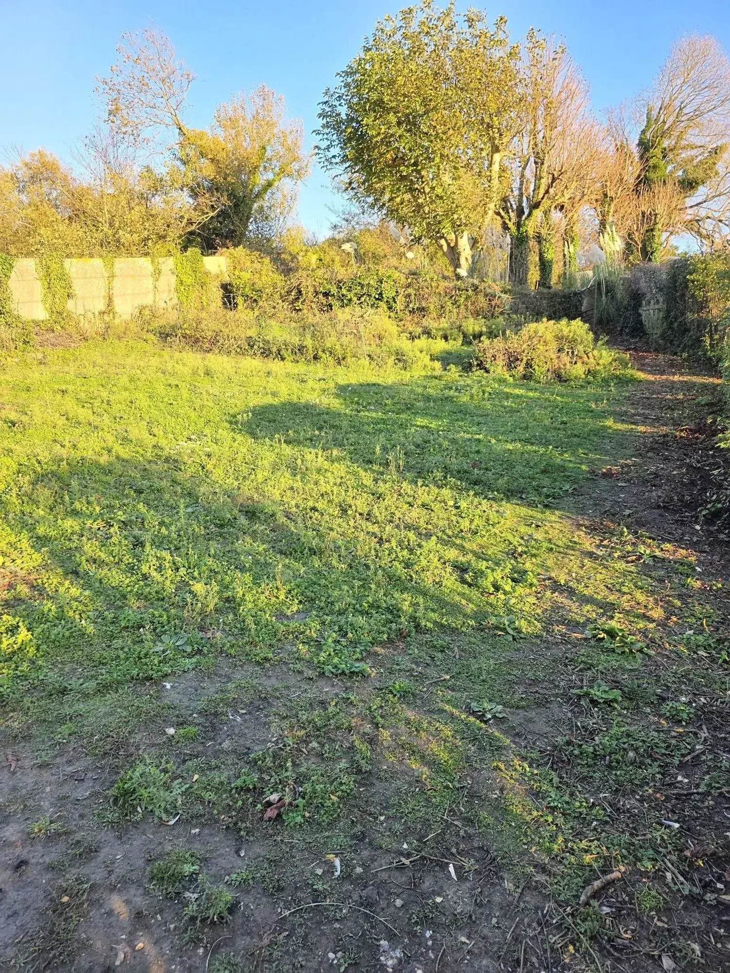 Parcelle de 1000 m² à Fécamp avec vue dégagée, non viabilisée