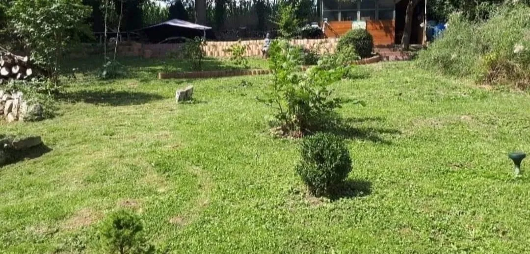 Terrain de loisir arboré à Precy-sur-Oise avec cabane pour enfants et abri de jardin 