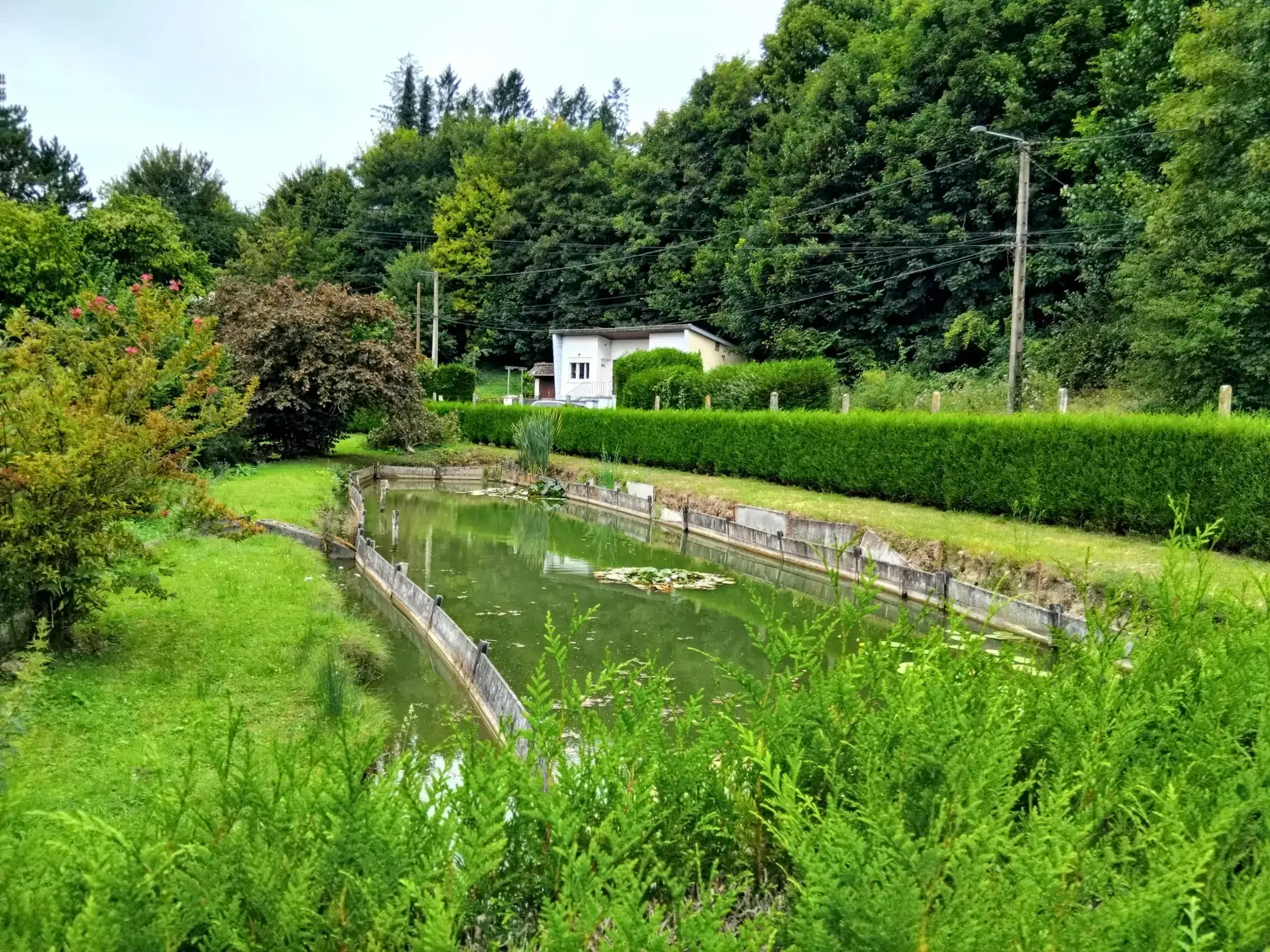Maison de plain-pied avec étang poissonneux à vendre dans le Pas-de-Calais 