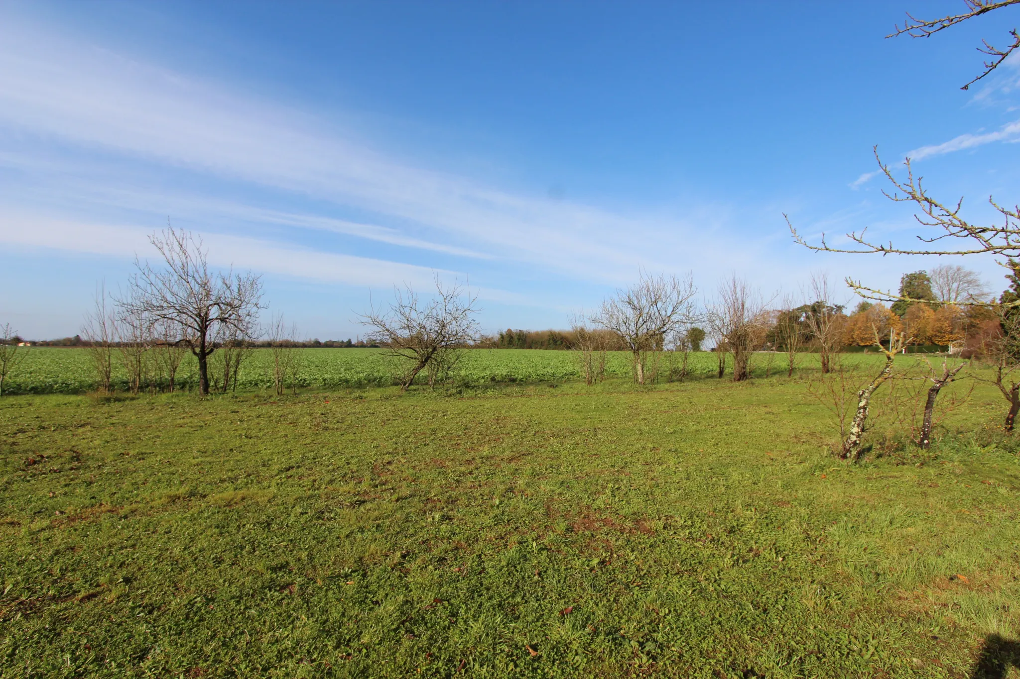 Magnifique maison en pierres avec hangars, piscine chauffée, proche Niort 