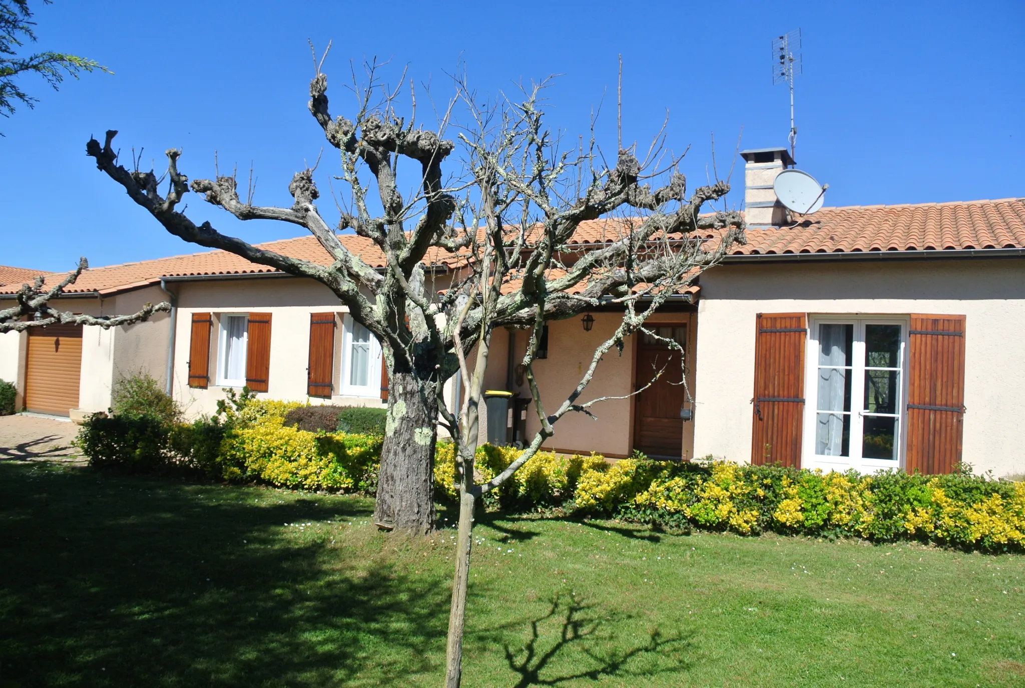 Maison moderne de plain-pied avec jardin à Miramont de Guyenne