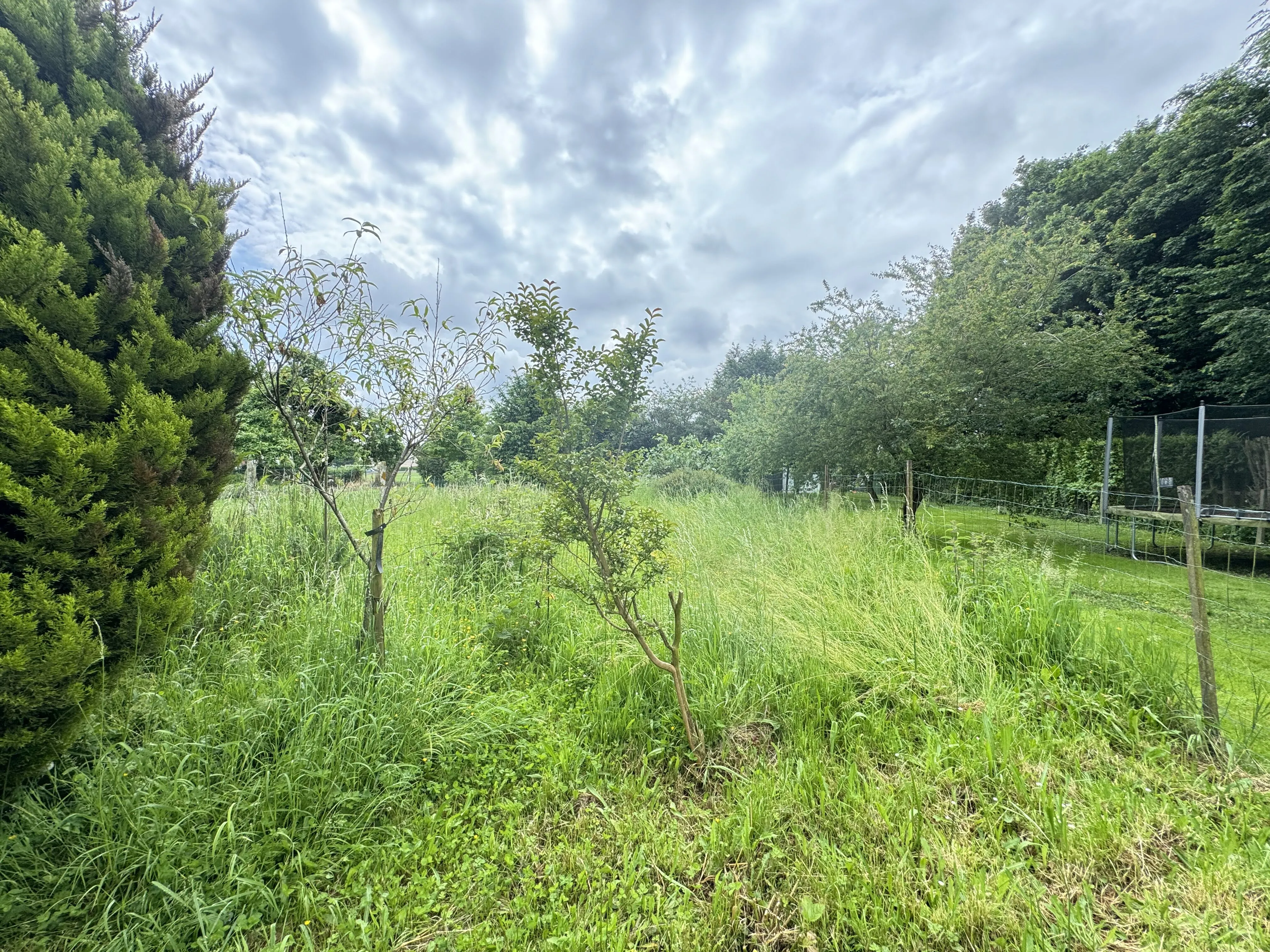 Maison à vendre proche du centre-ville de VILLERS BRETONNEUX avec jardin et dépendances 