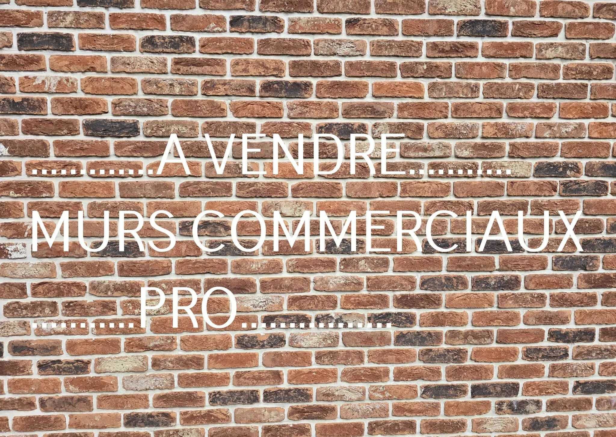 Immeuble mixte avec atelier auto et habitations à Louvignies-Quesnoy