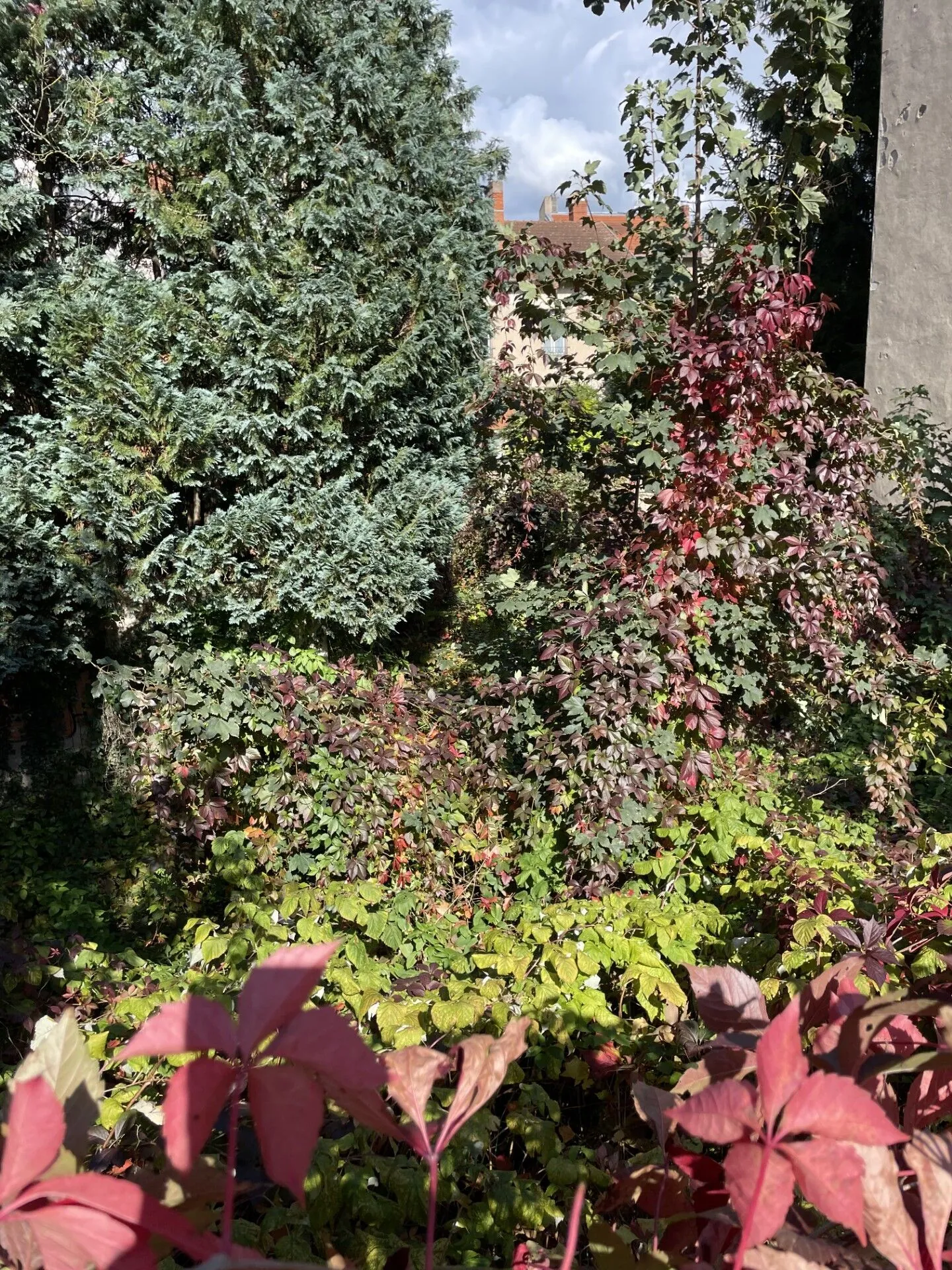 Terrain constructible de 261 m² à Vichy proche parcs et CAVILAM 