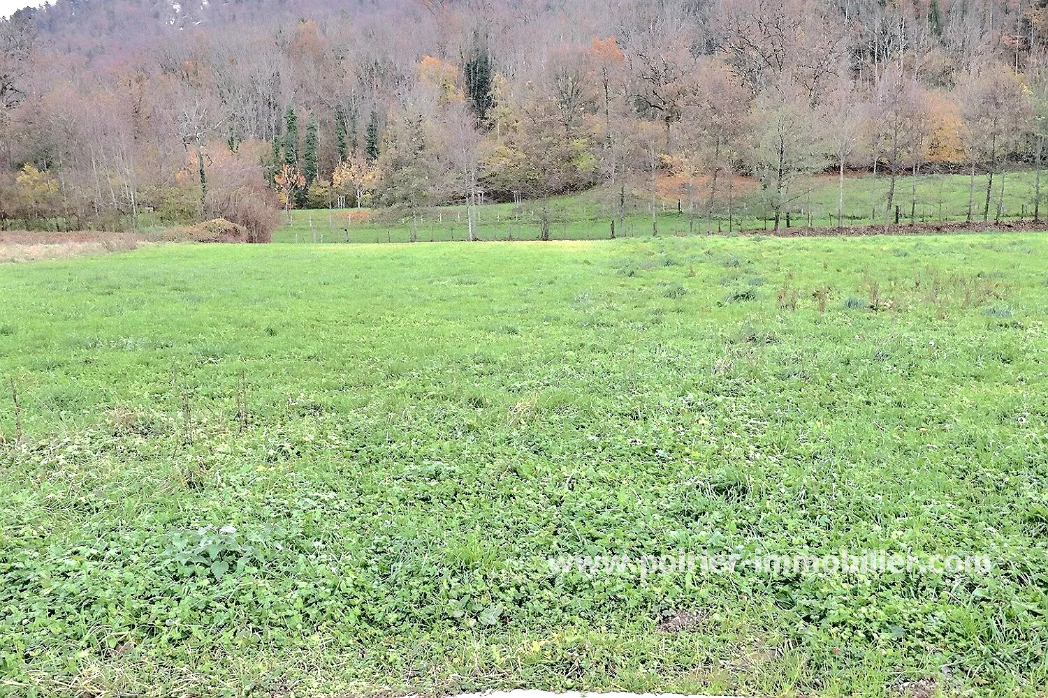 Terrain constructible à Cervens de 801 m², libre de constructeur