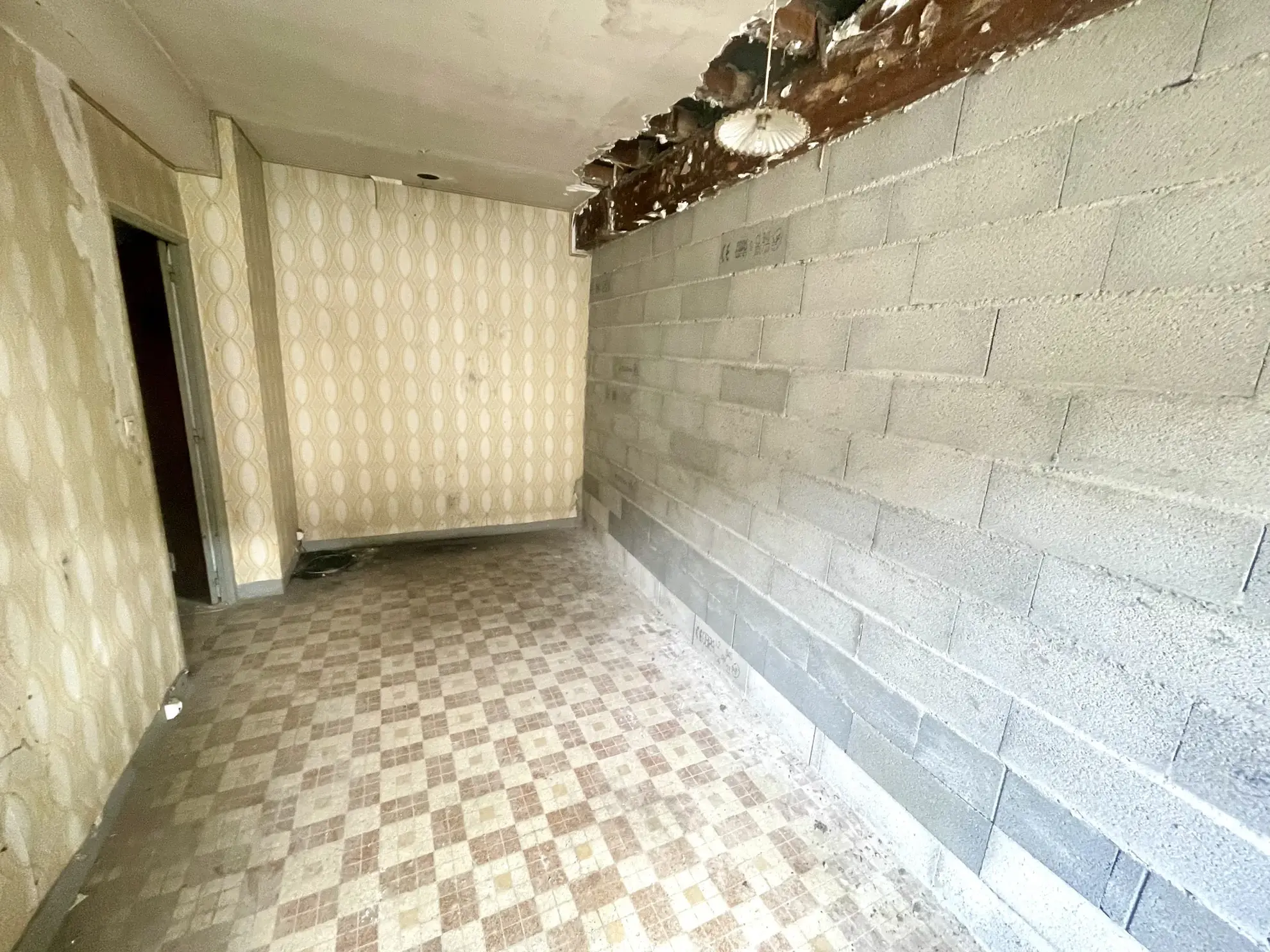 Maison à rénover à Dieupentale – 170 m² habitables, jardin et garage 