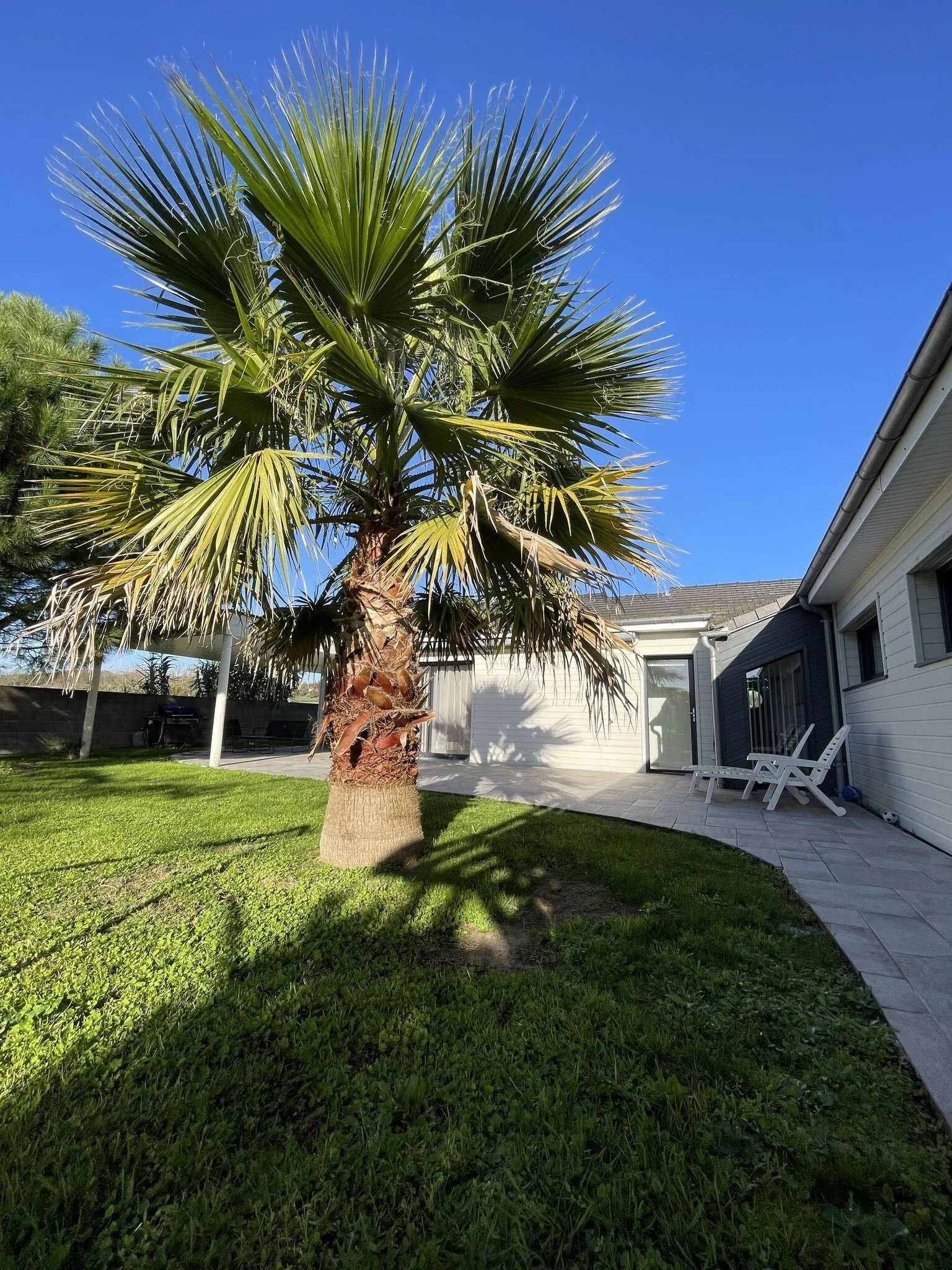 Maison 165 m² à Naintré avec piscine, terrasse et 4 chambres - Vente immobilière 